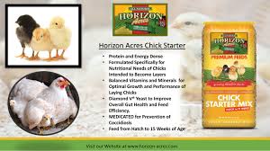Horizon Acres Chick Starter mix 