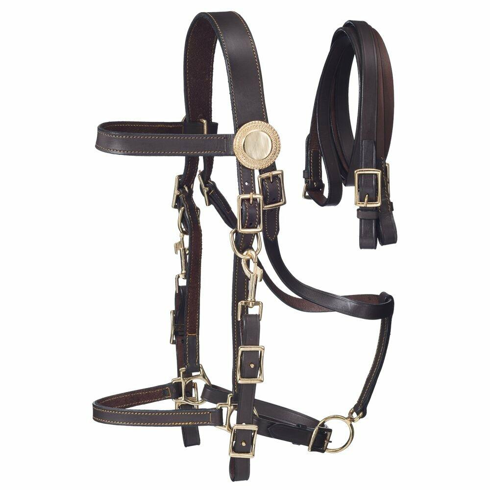 Trail riding leather halter bridle with matching reins and durable construction