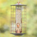 Bird feeder with seed