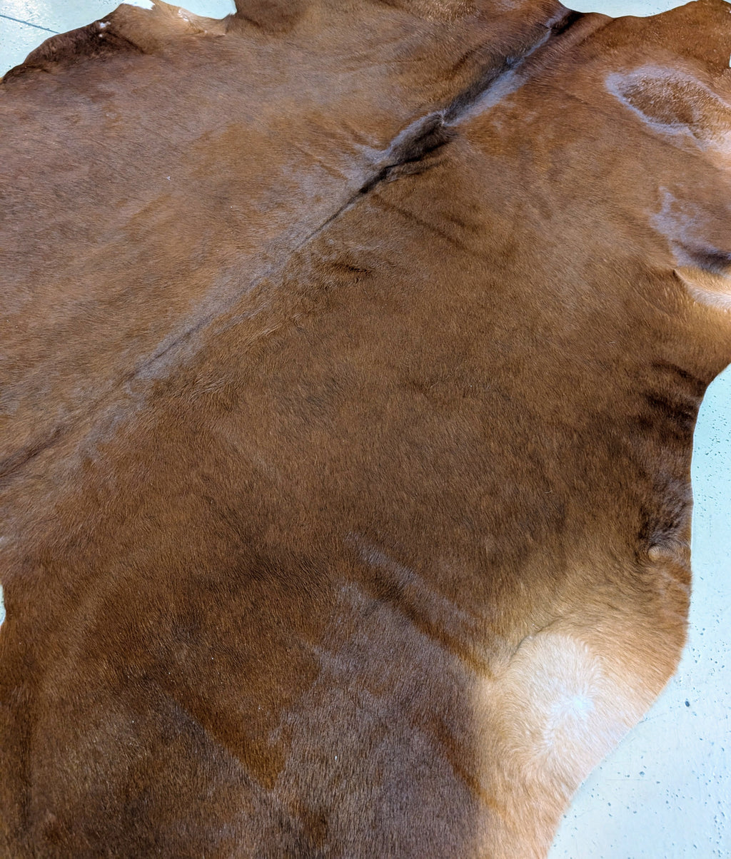 Authentic Grade A red cowhide hide, perfect for rustic or Western décor