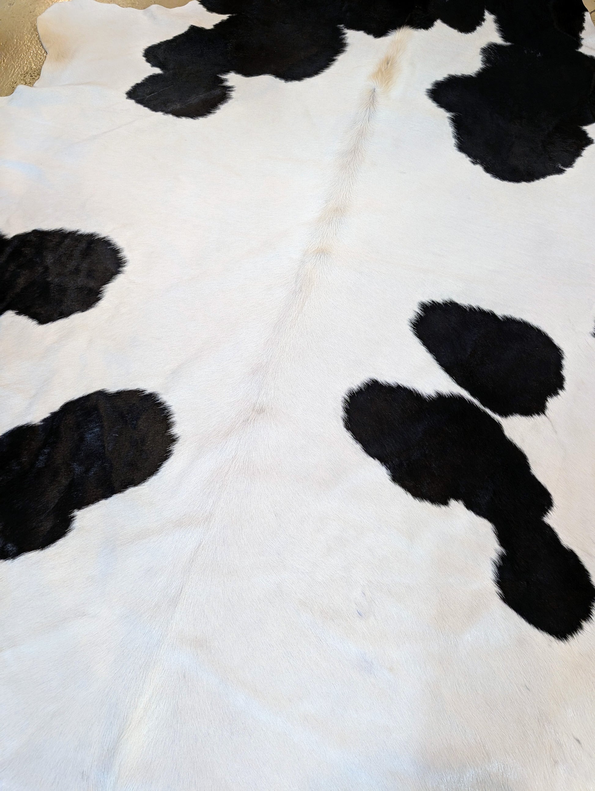 Cowhide Stubs