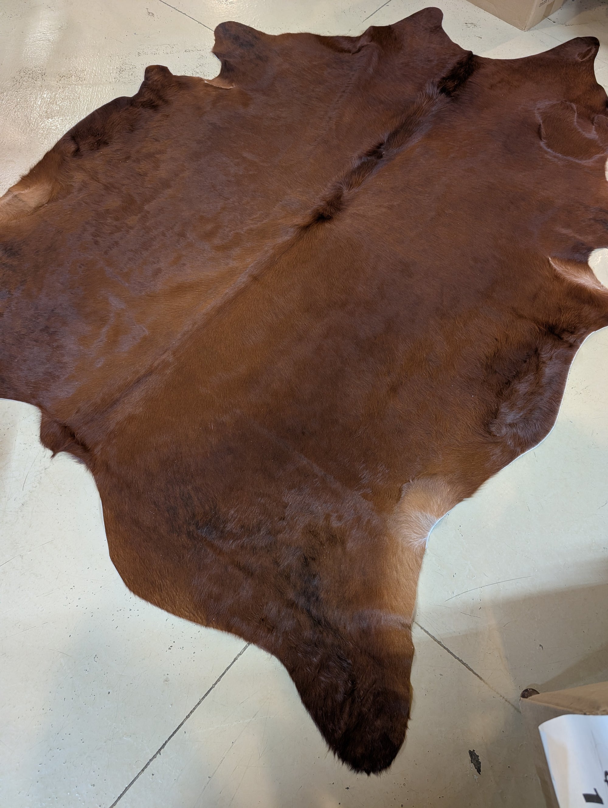 Imperfect cowhide with character—great for handbags, keychains, or upholstery