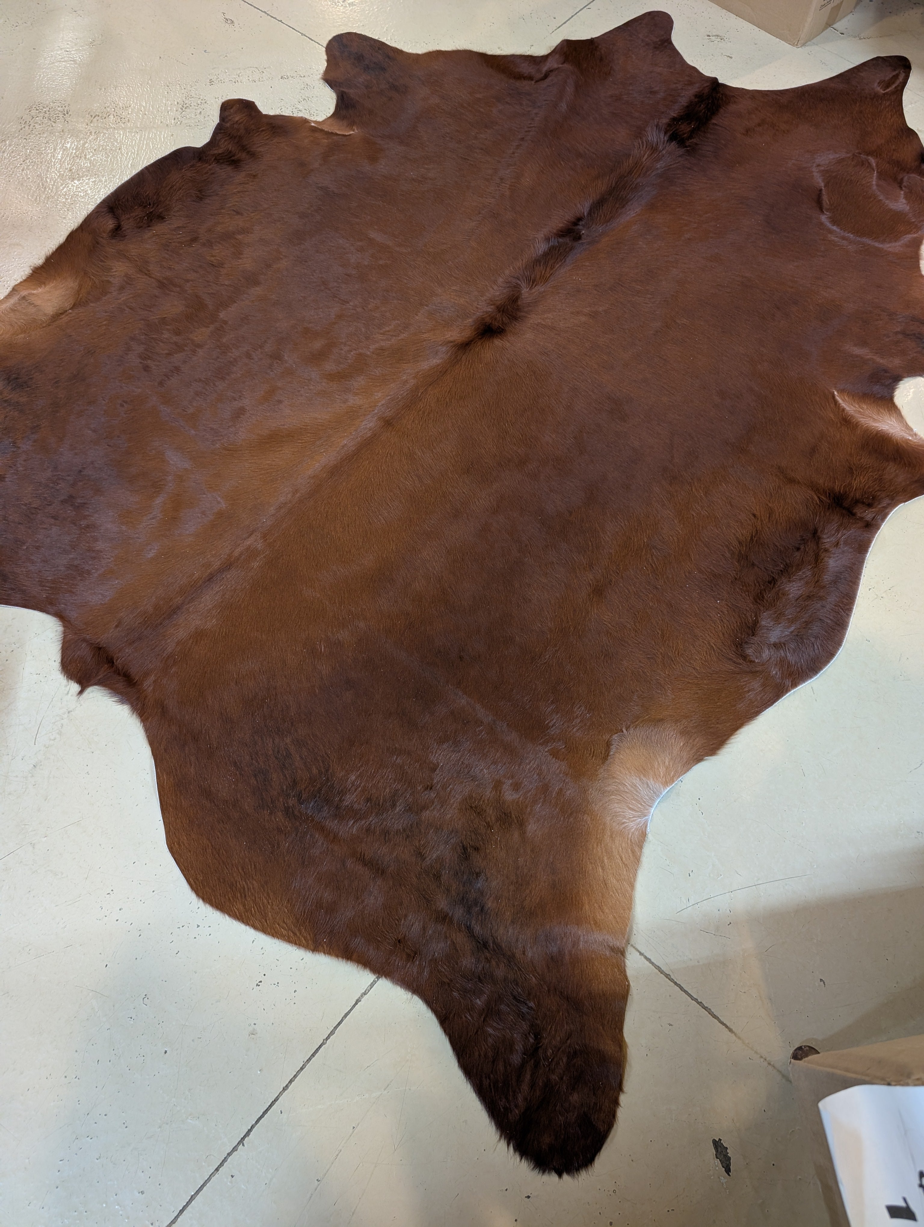 Imperfect cowhide with character—great for handbags, keychains, or upholstery
