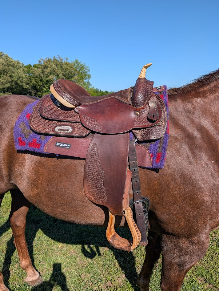 Right view of a Dakota 16in Used all around saddle on a horse