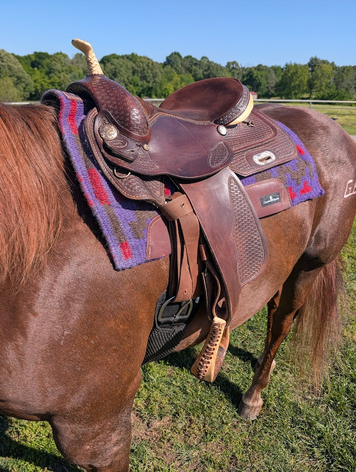 Up-close of a horse with a all around saddle.