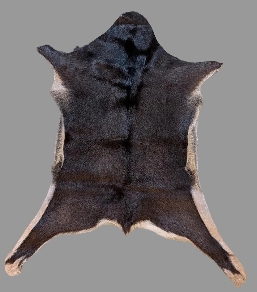 Dark brown goat hide rug with tan trim with a  gray background.
