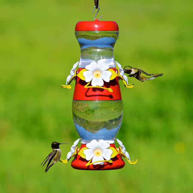 Stack together or hang as two separate feeders