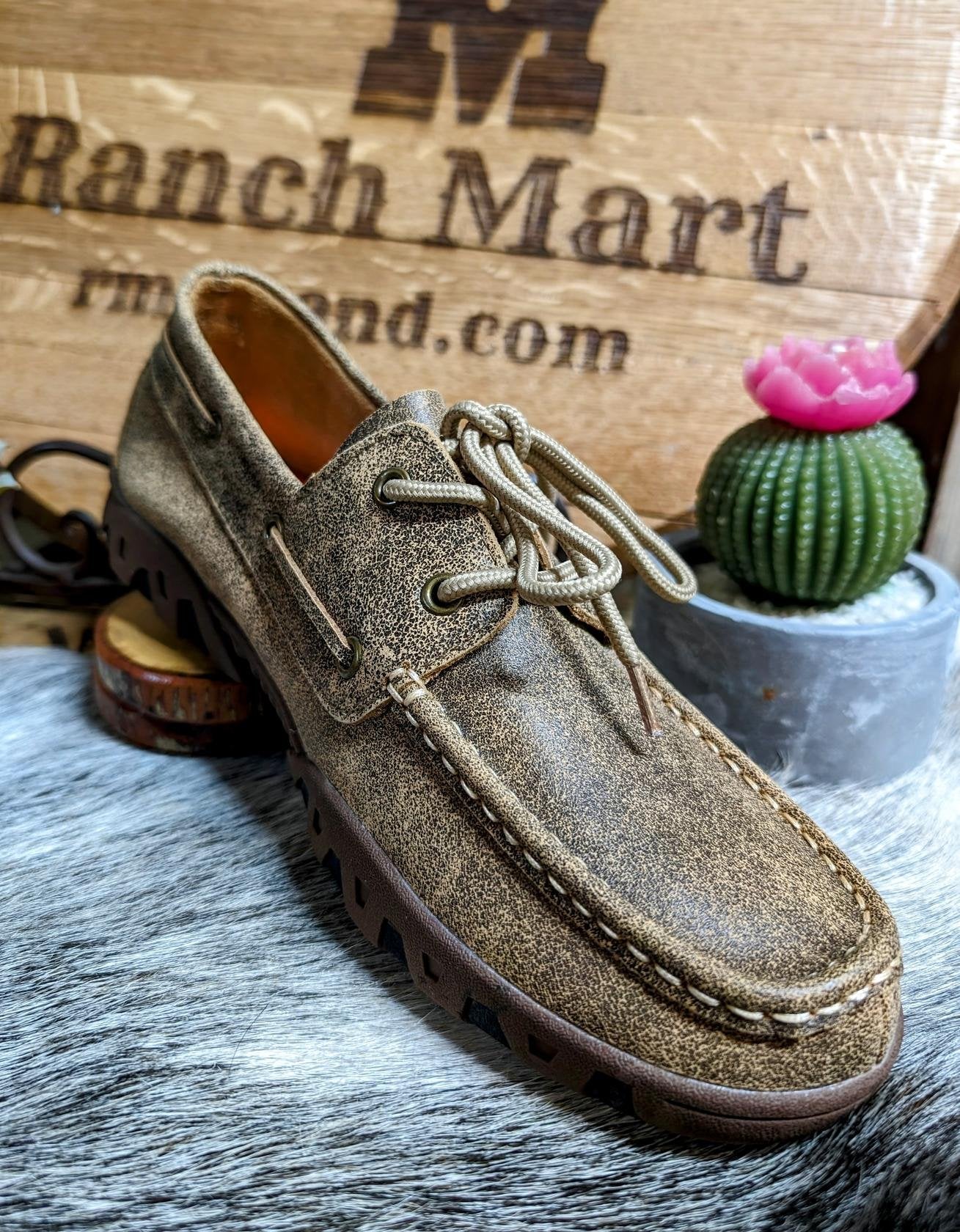 A brown Ferrini women's loafer shoe displayed on a surface with a cactus decoration in the background.