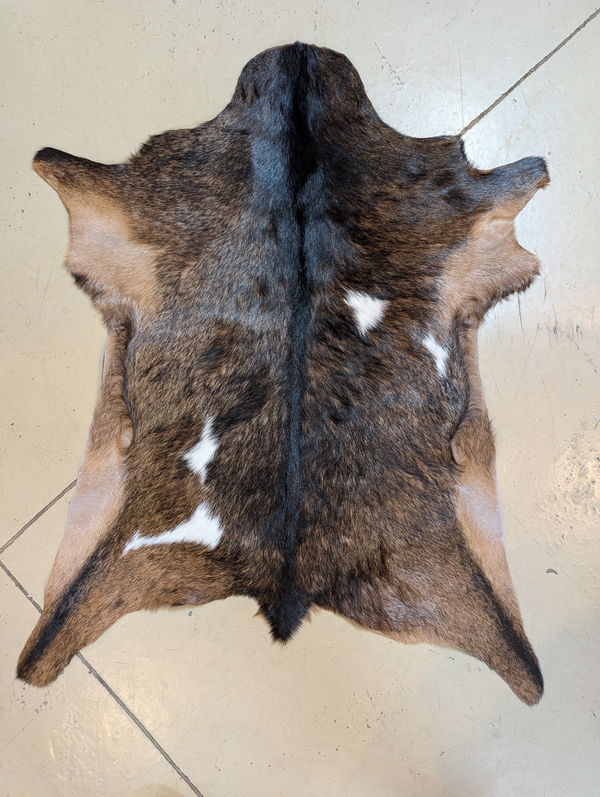 Small Goat hide