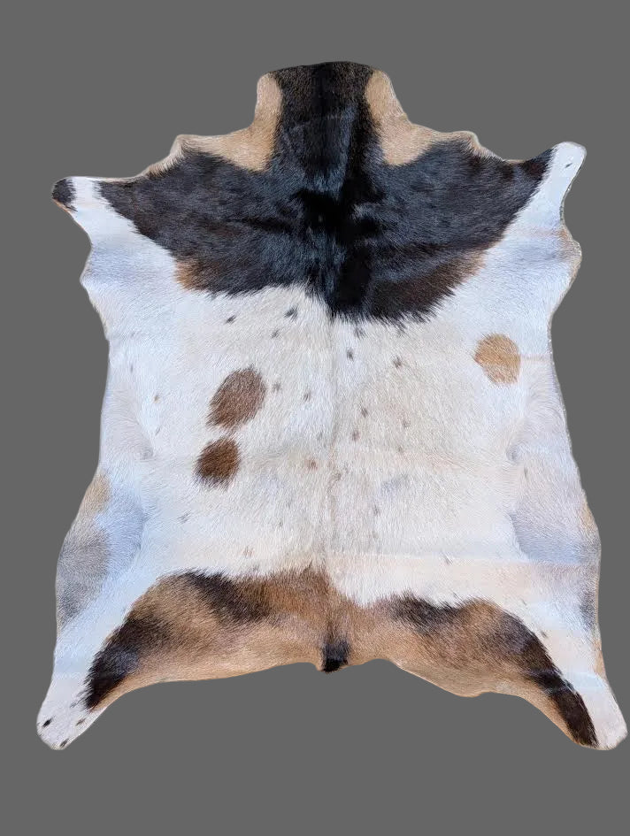 Tri-color goat hide rug with a gray background. 