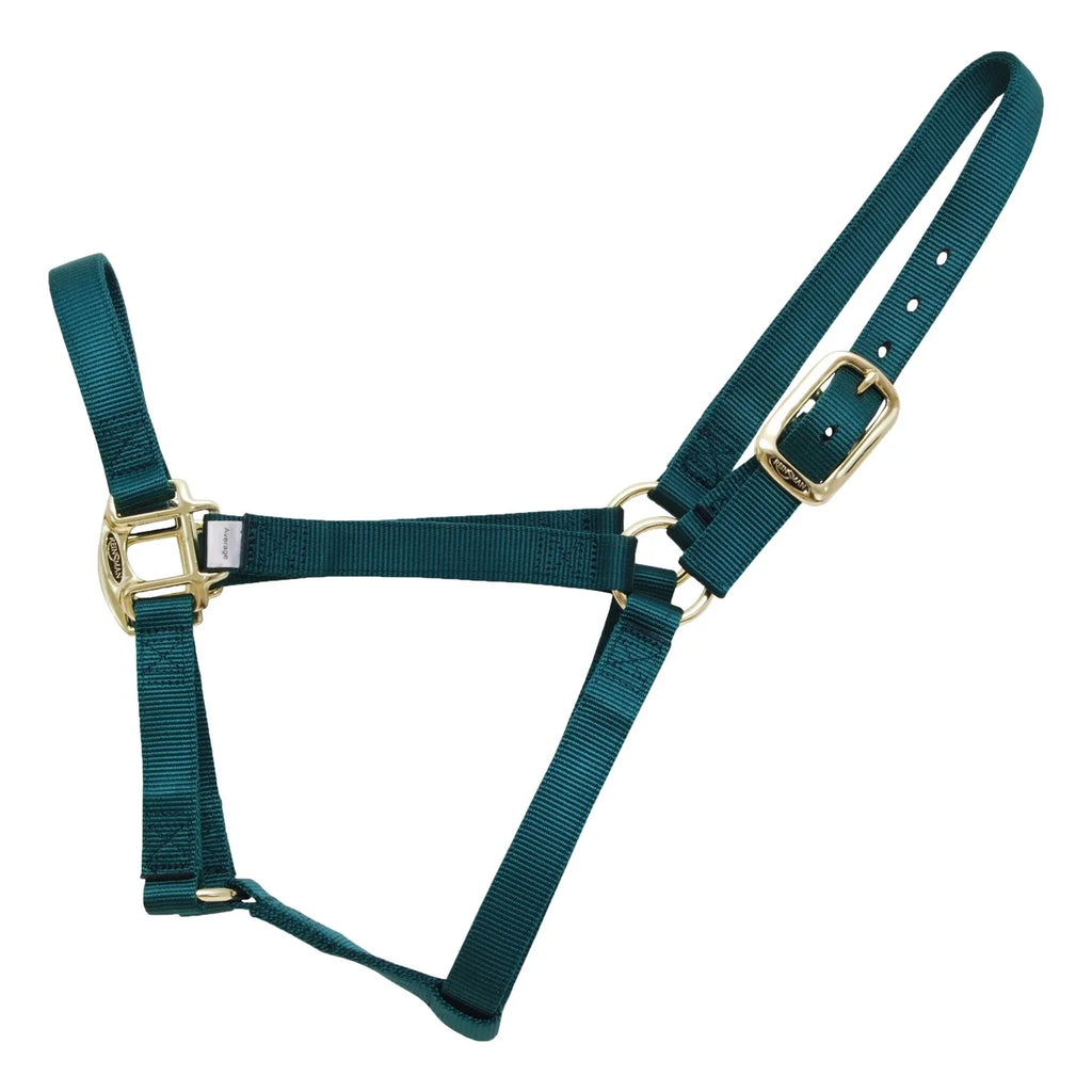 Green horse halter with gold hardware on a white background