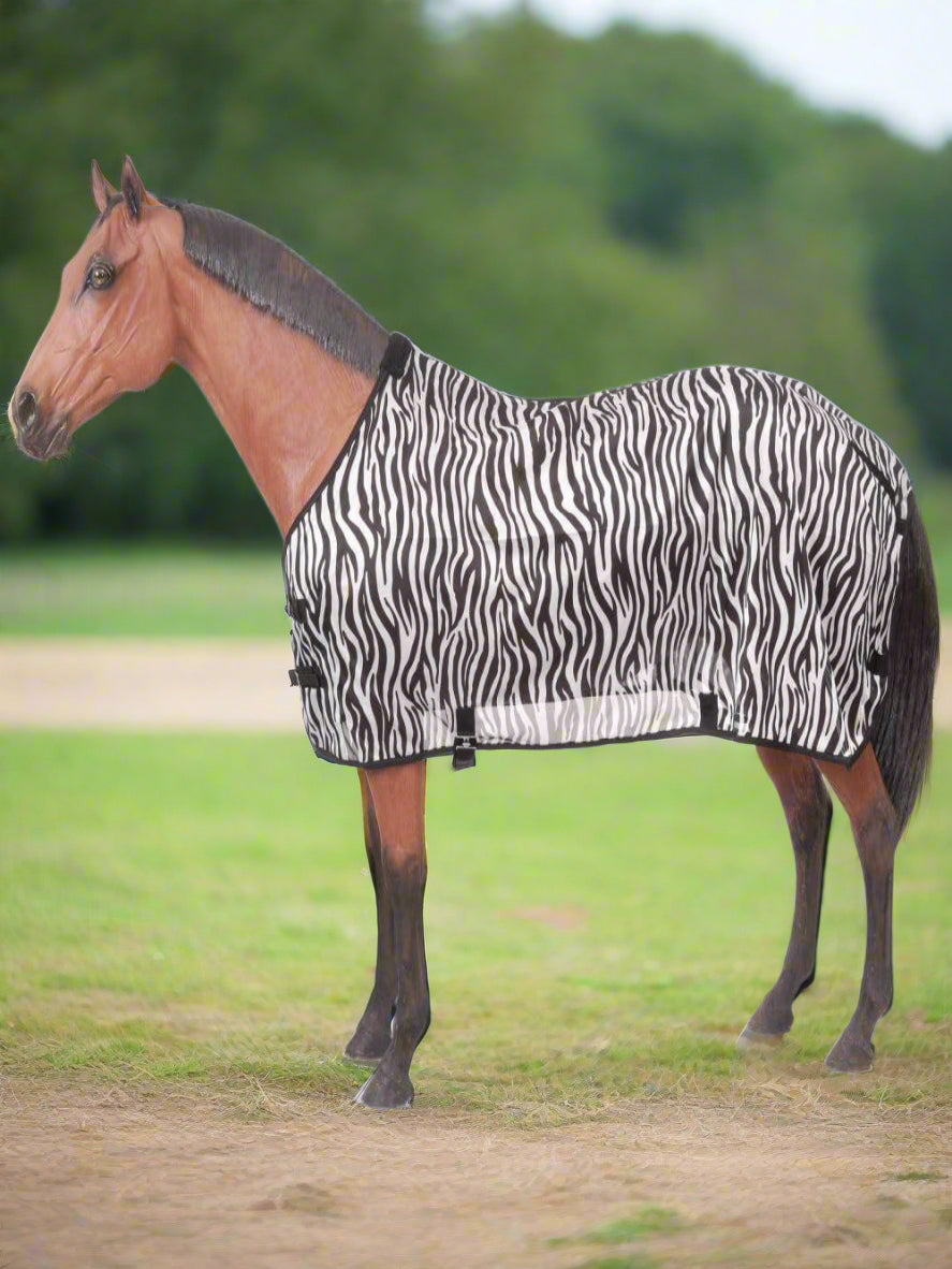 Close-up of zebra pattern fly sheet showing double buckle chest closure and mesh texture.