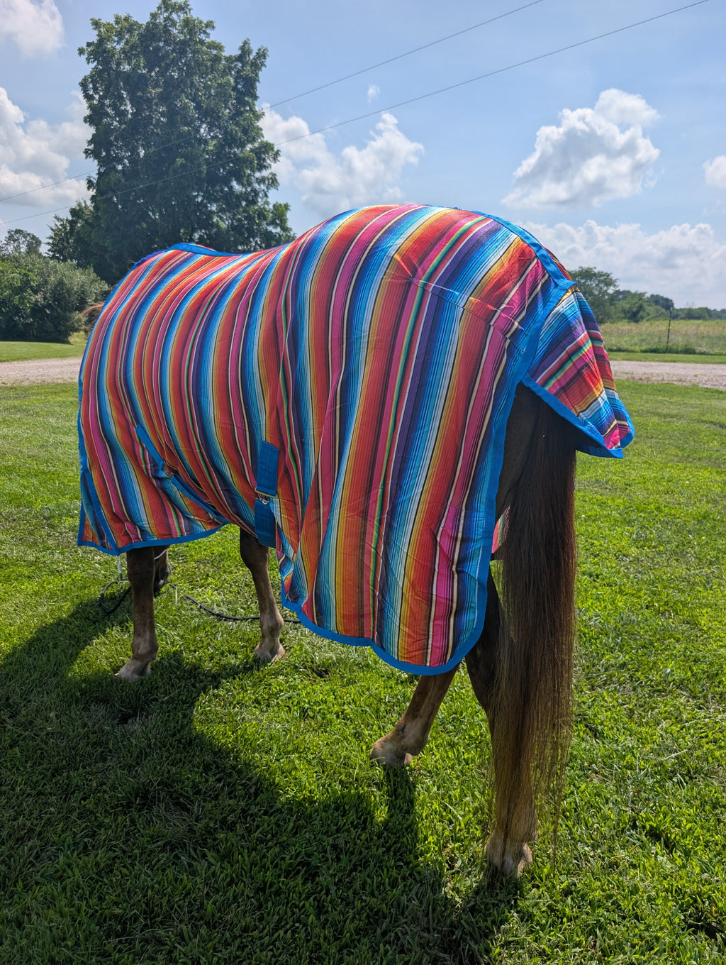 Durable summer turnout sheet with insect and sun protection in serape style
