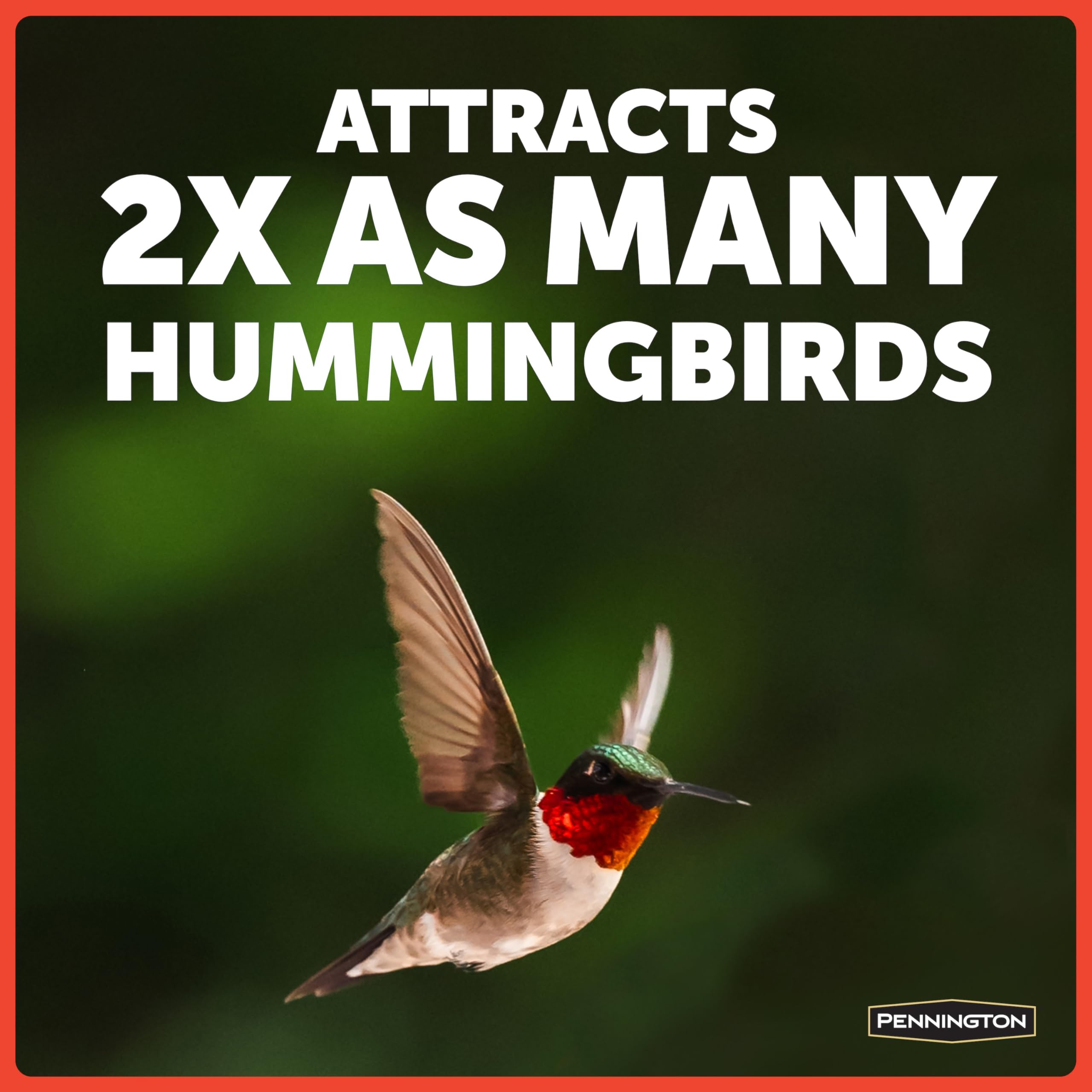 Hummingbird with text 'ATTRACTS 2X AS MANY HUMMINGBIRDS' 