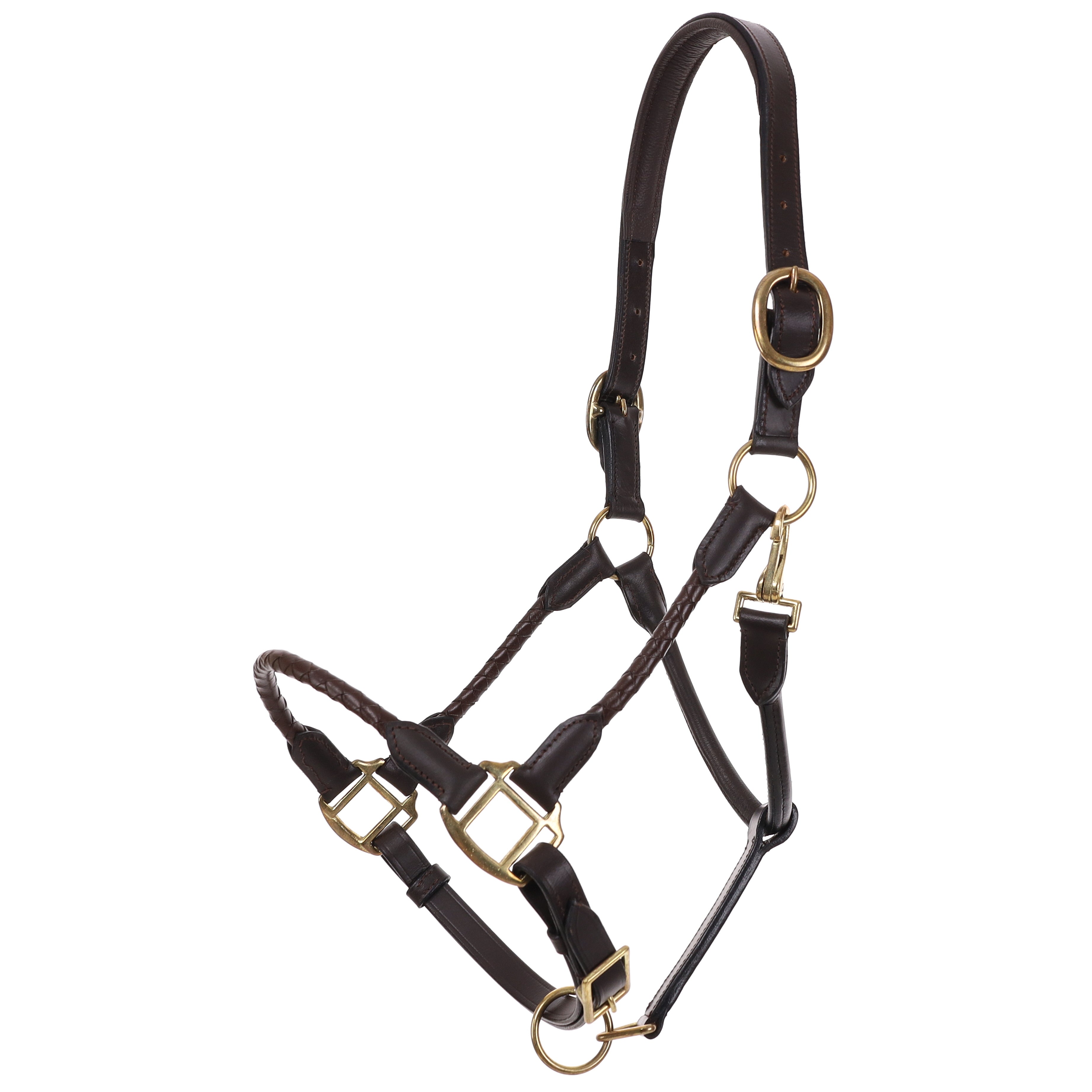 Dark leather horse Halter with brass hardware on a white background