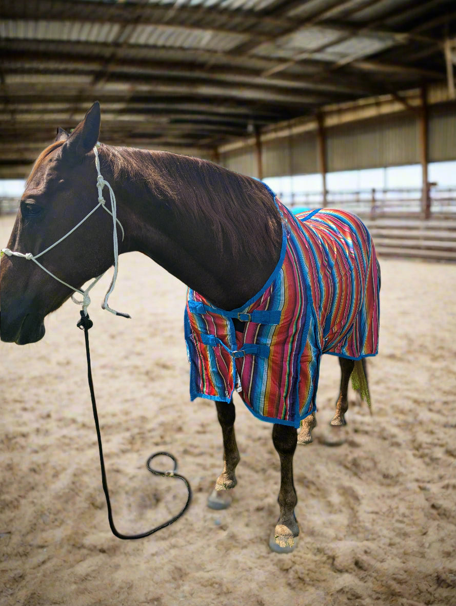 Lightweight colorful serape print horse fly sheet for summer protection