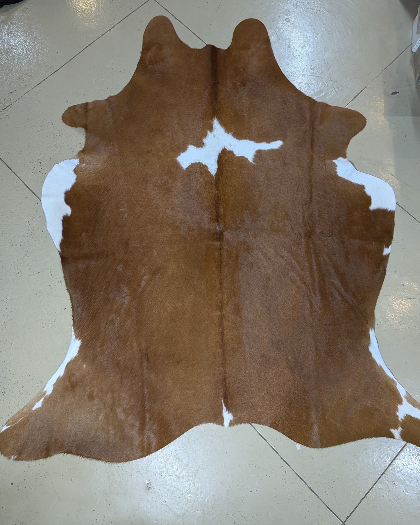 "Marshall" Full Cowhide