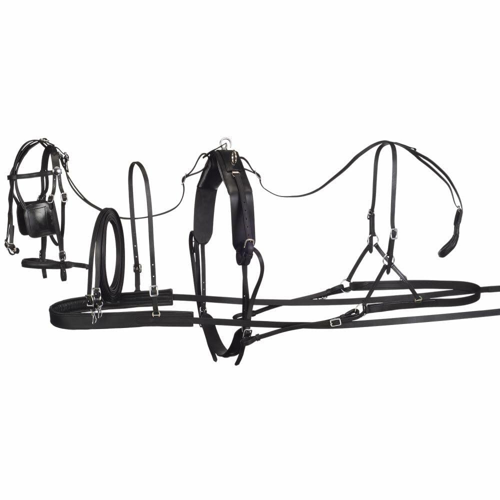 Black leather horse bridle on a white background