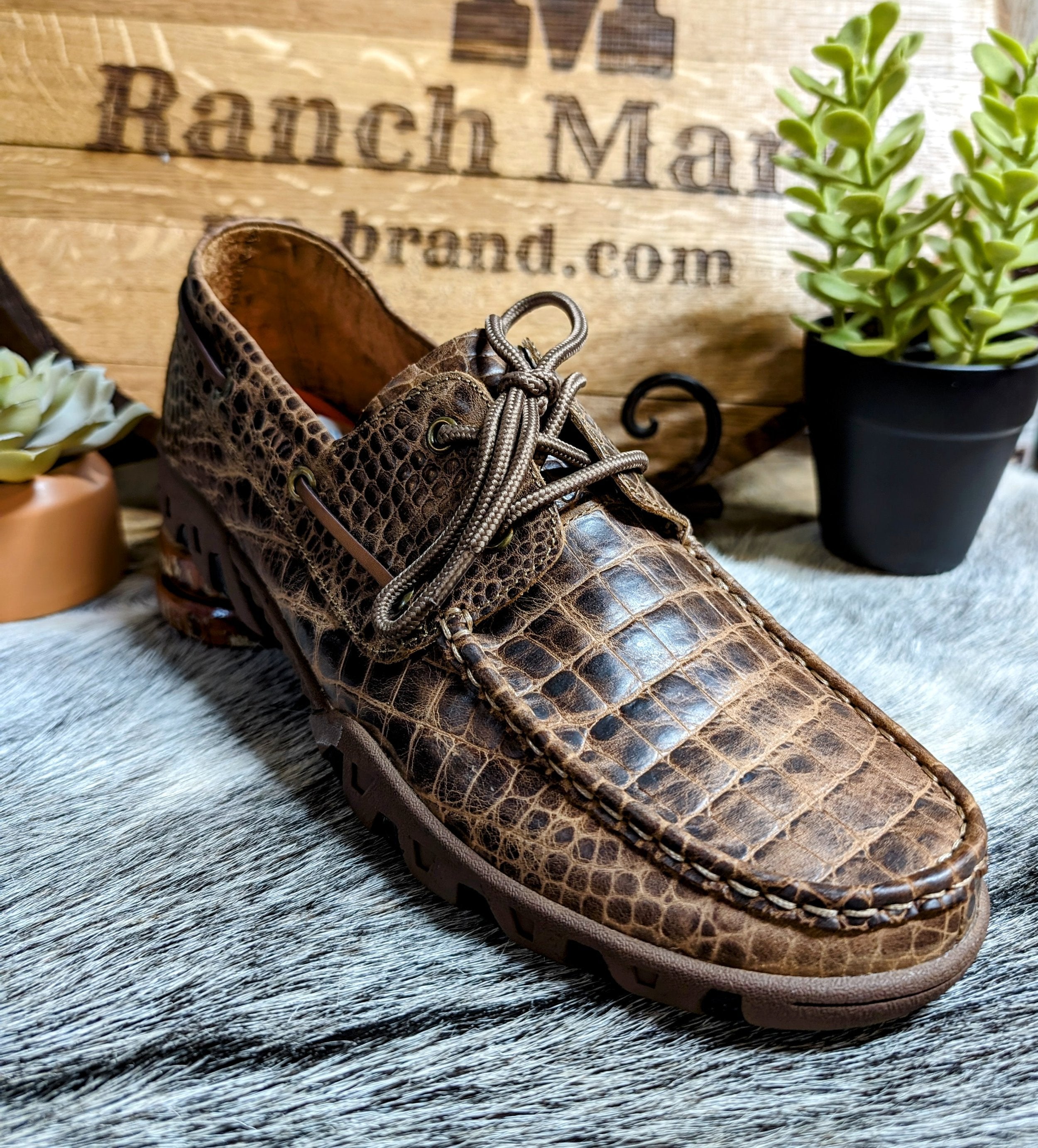 A brown Ferrini men's loafer with an alligator belly cowhide print, displayed on a grey surface with plants and a branded object in the background.