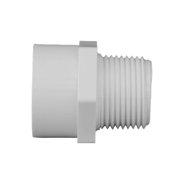Charlotte Pipe 3/4-in Schedule 40 PVC Male Adapter