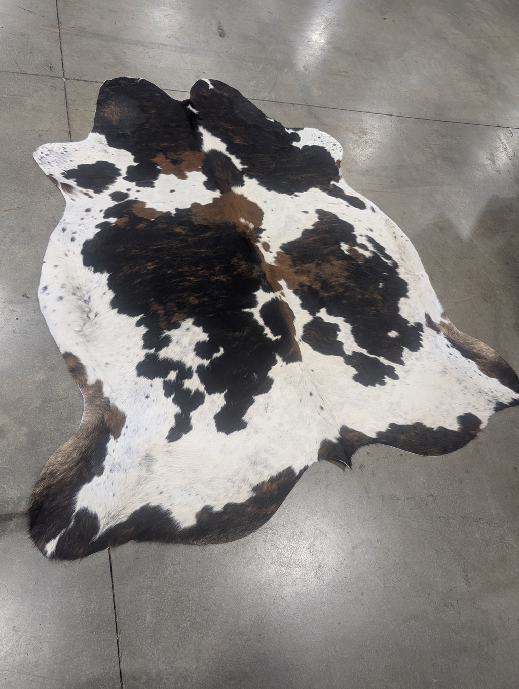 "Cool Kat" Cowhide
