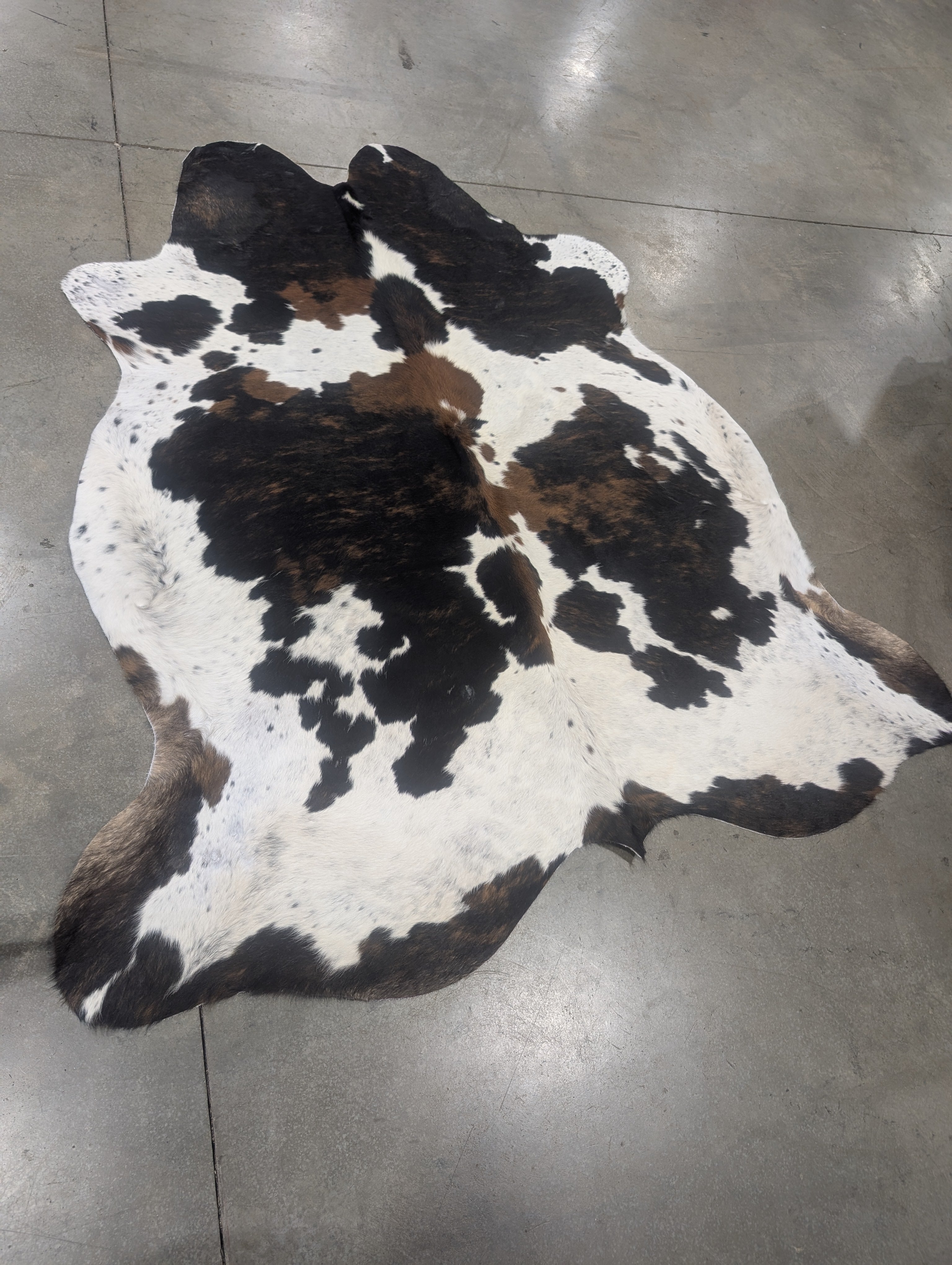 "Cool Kat" Cowhide