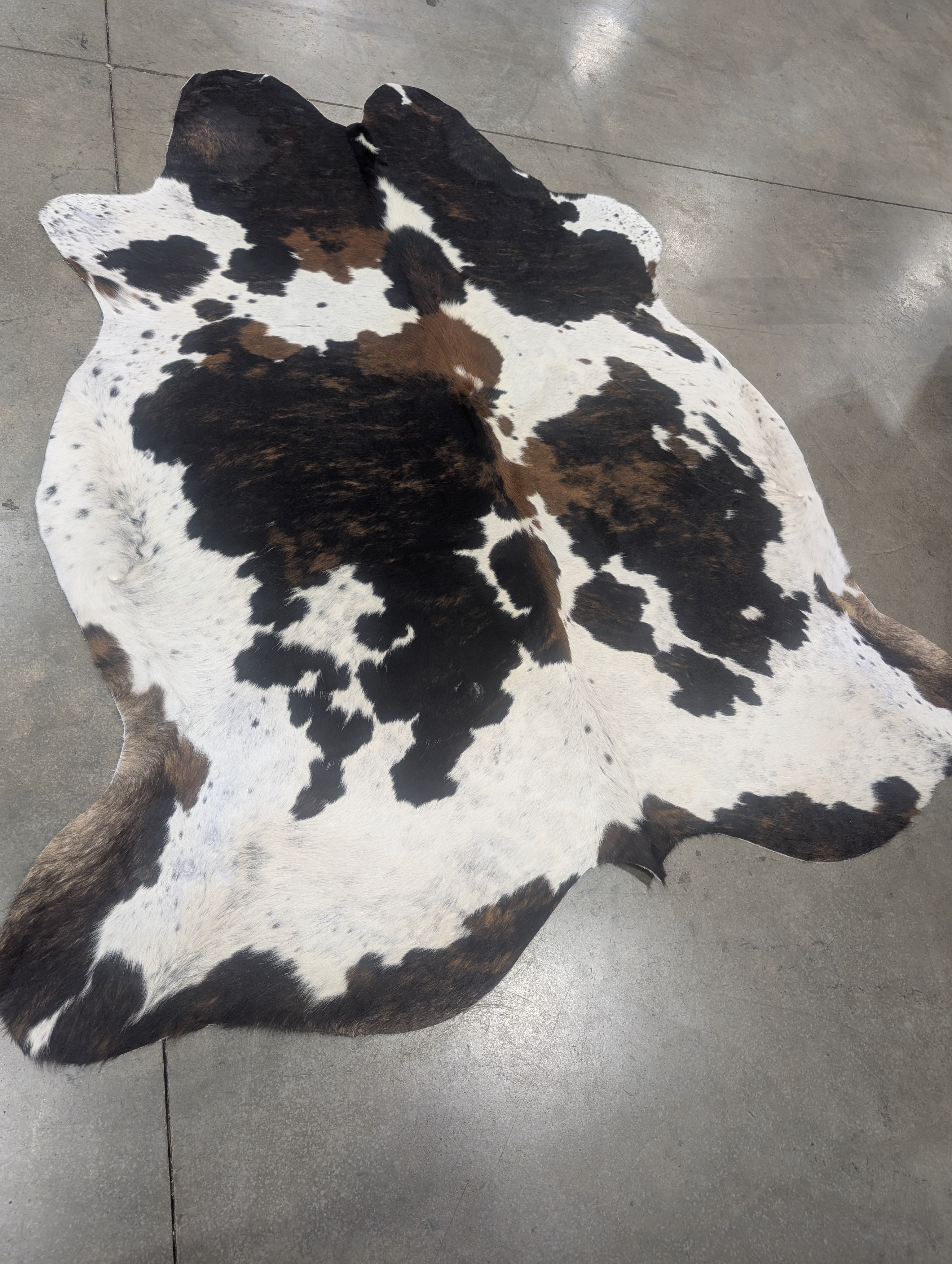 "Cool Kat" Cowhide