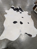 A black and white cowhide rug with visible brand markings, laid out on a floor.