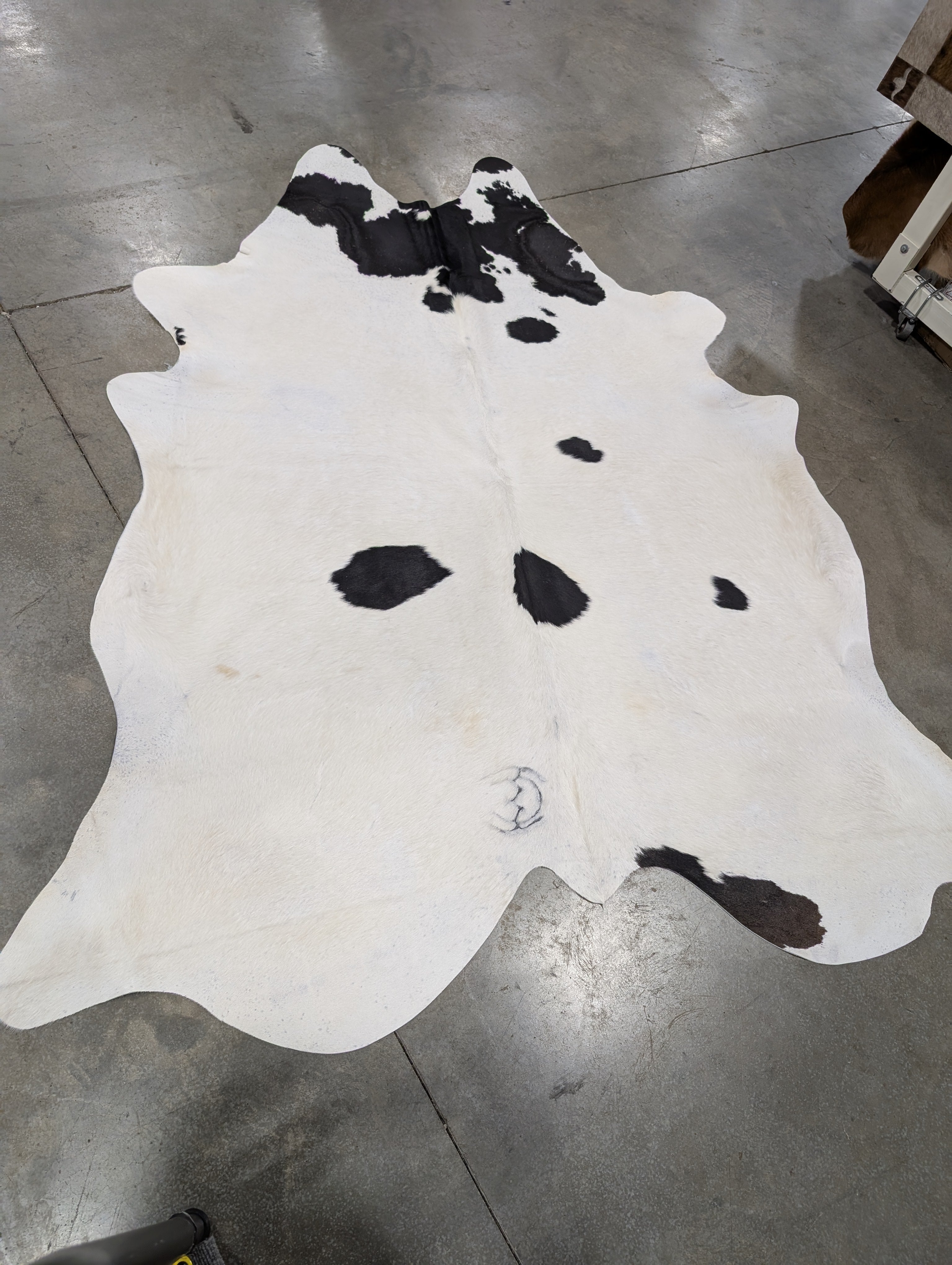 "Marvel" Cowhide