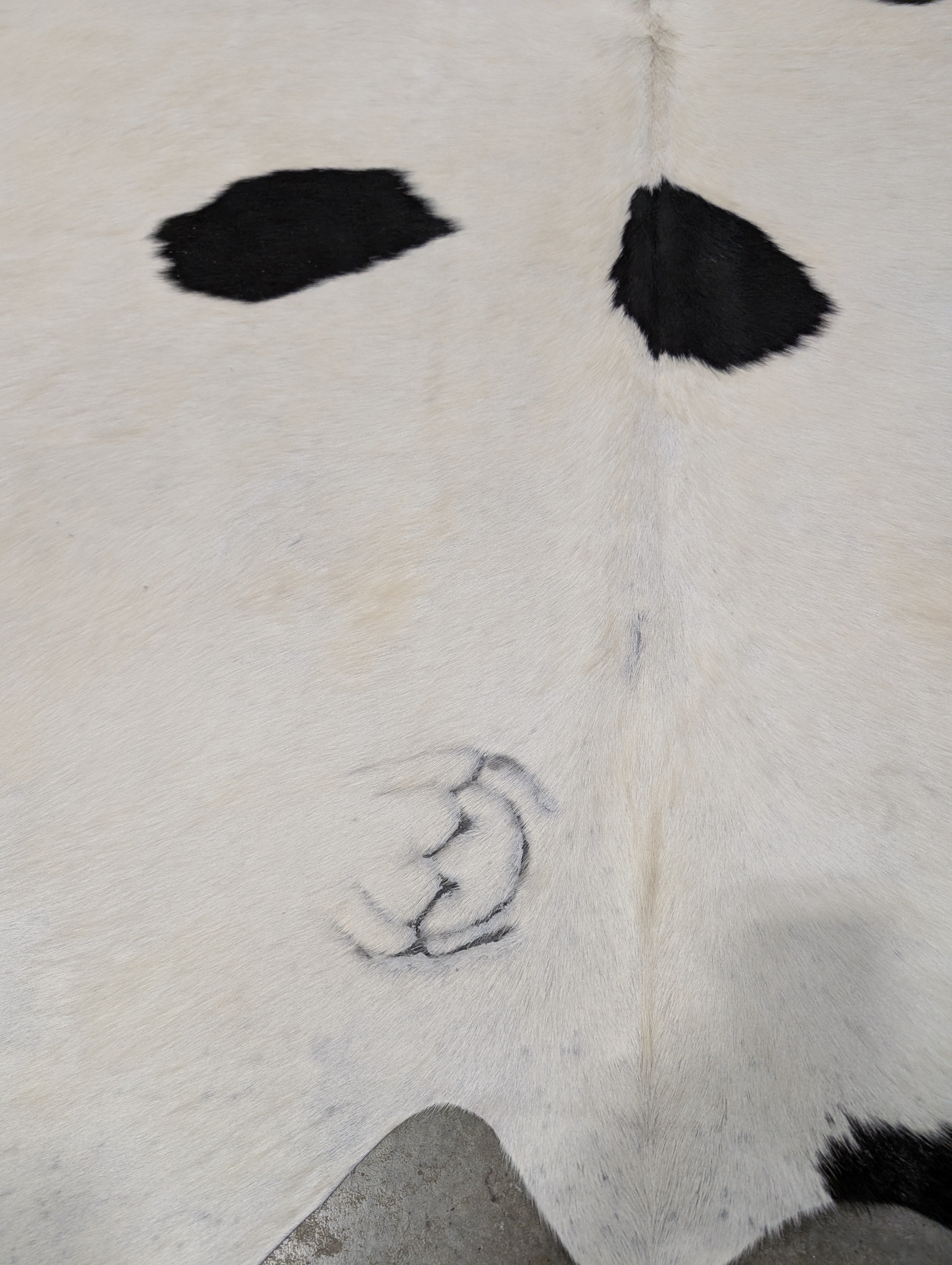 "Marvel" Cowhide