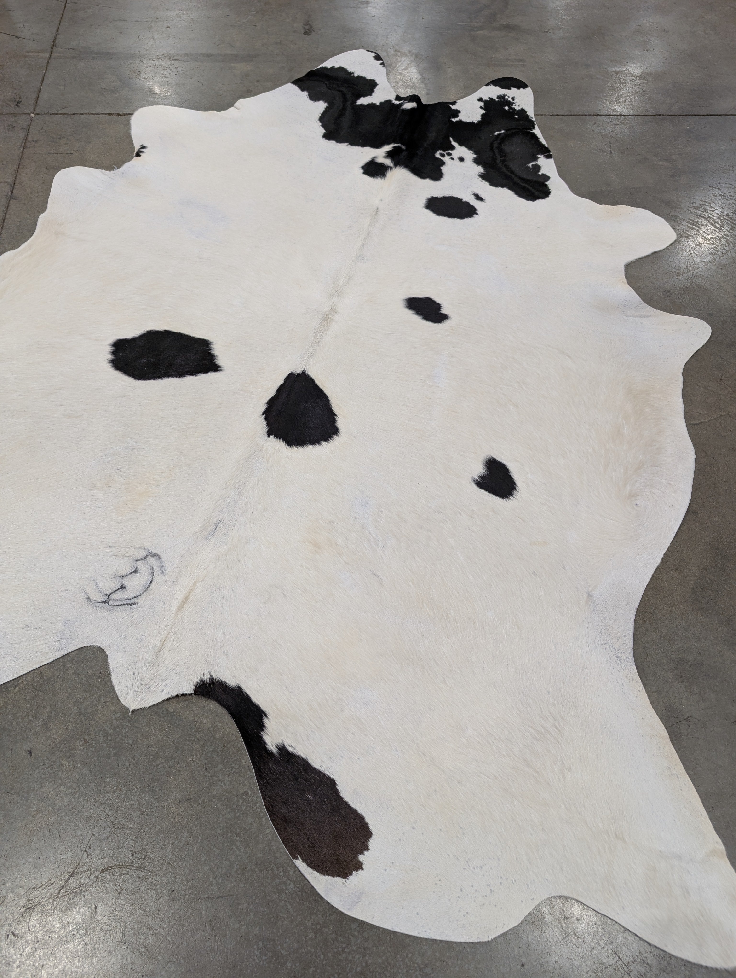 "Marvel" Cowhide
