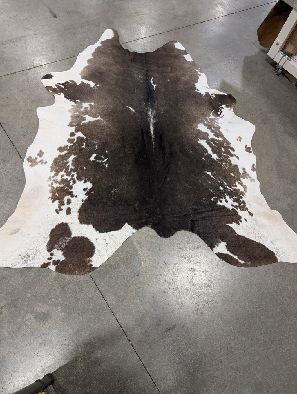 "Latte" Cowhide