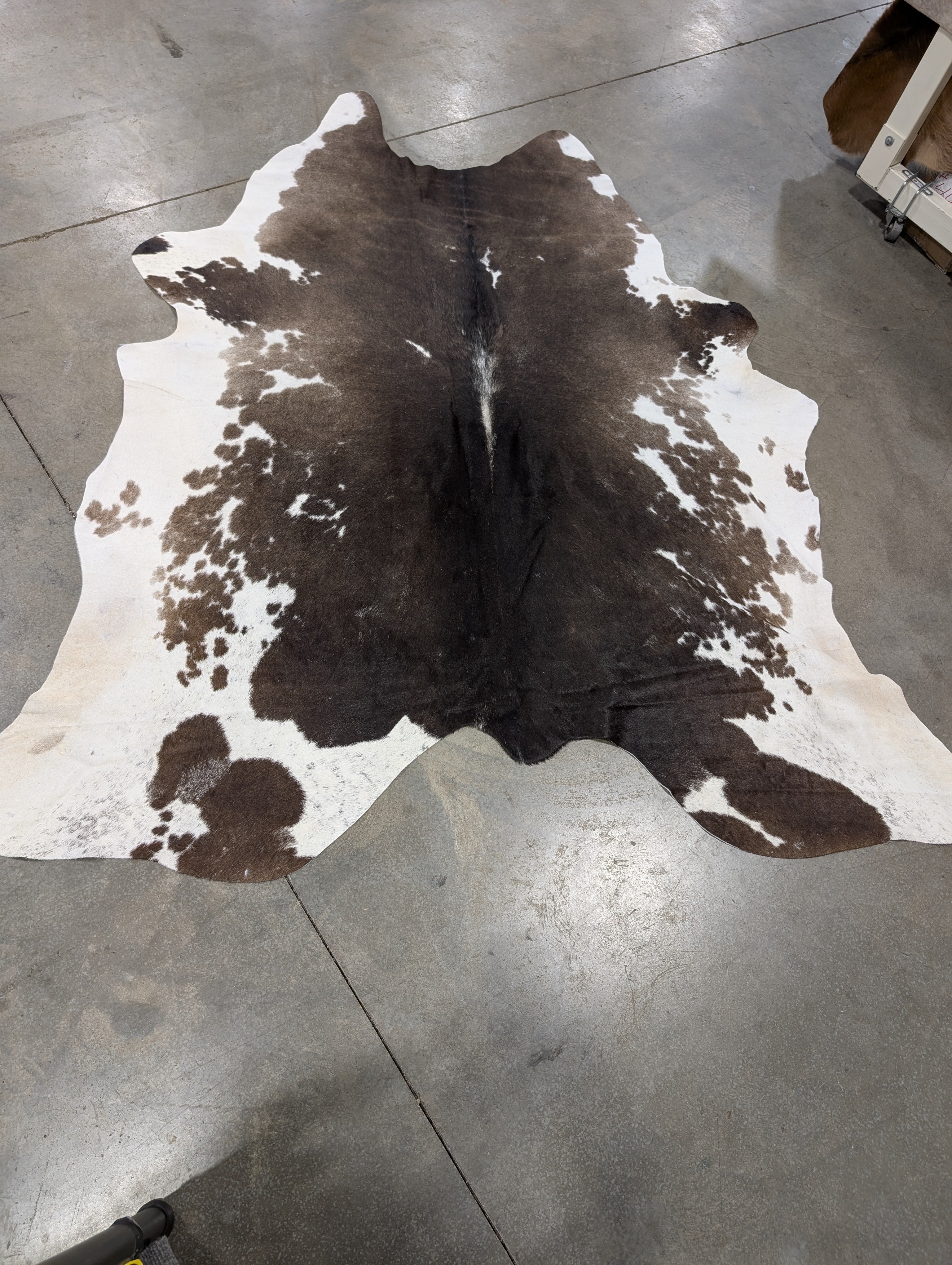 "Latte" Cowhide
