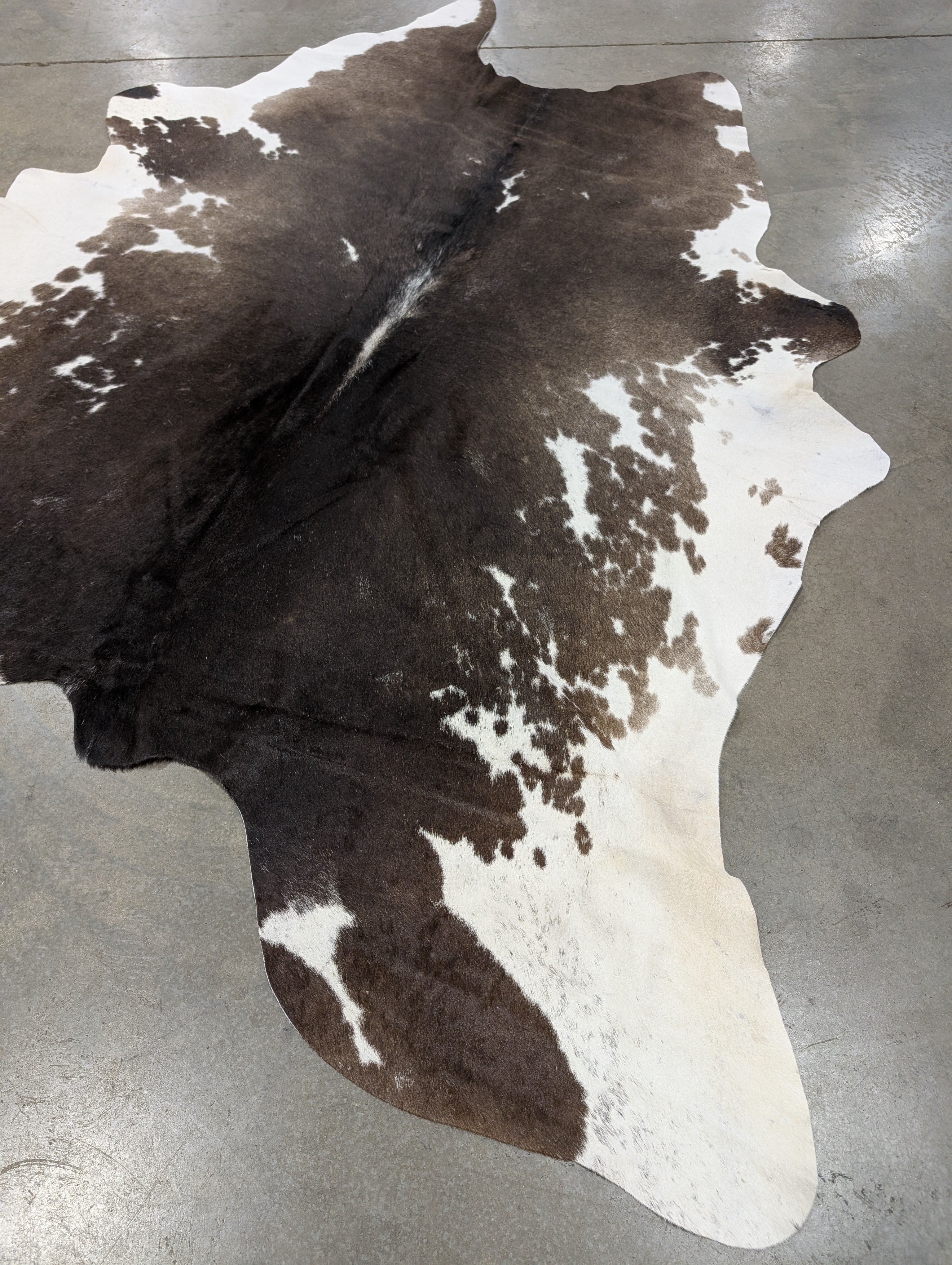 "Latte" Cowhide