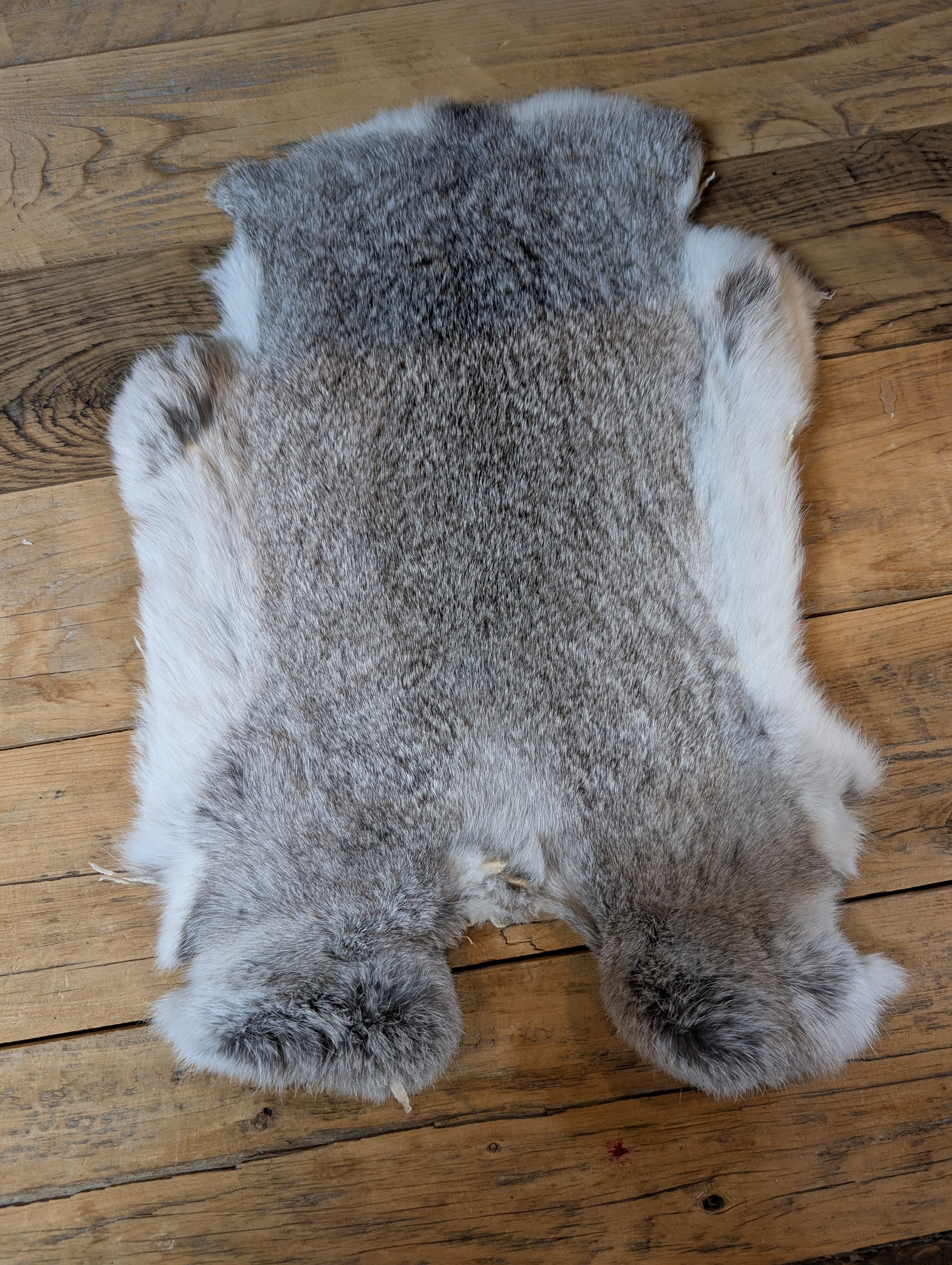 Rabbit Pelt on a wood Surface