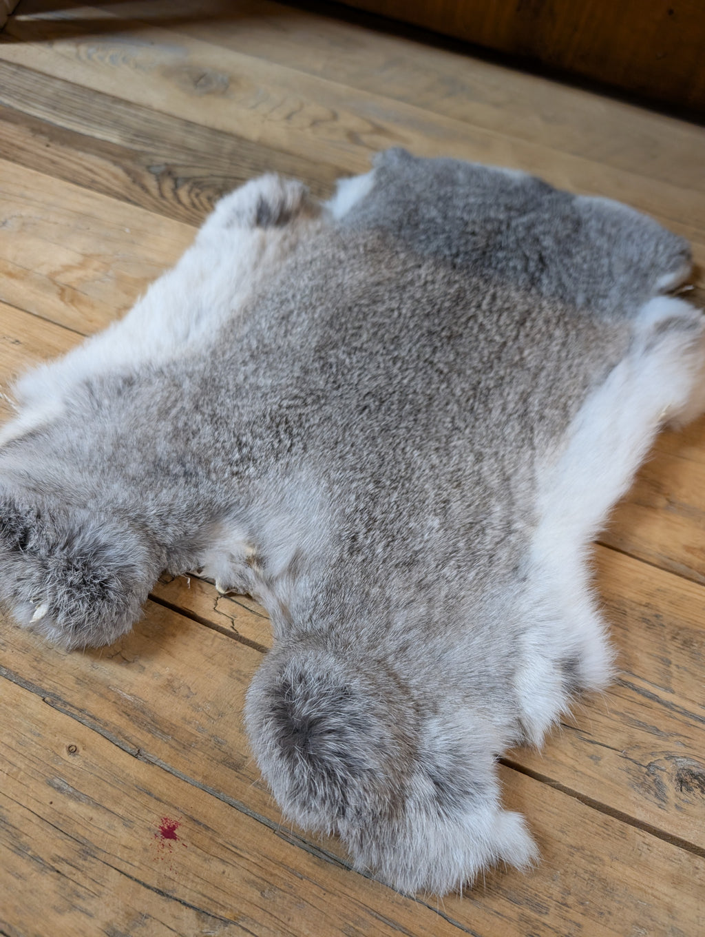 Grey rabbit pelt on wood background