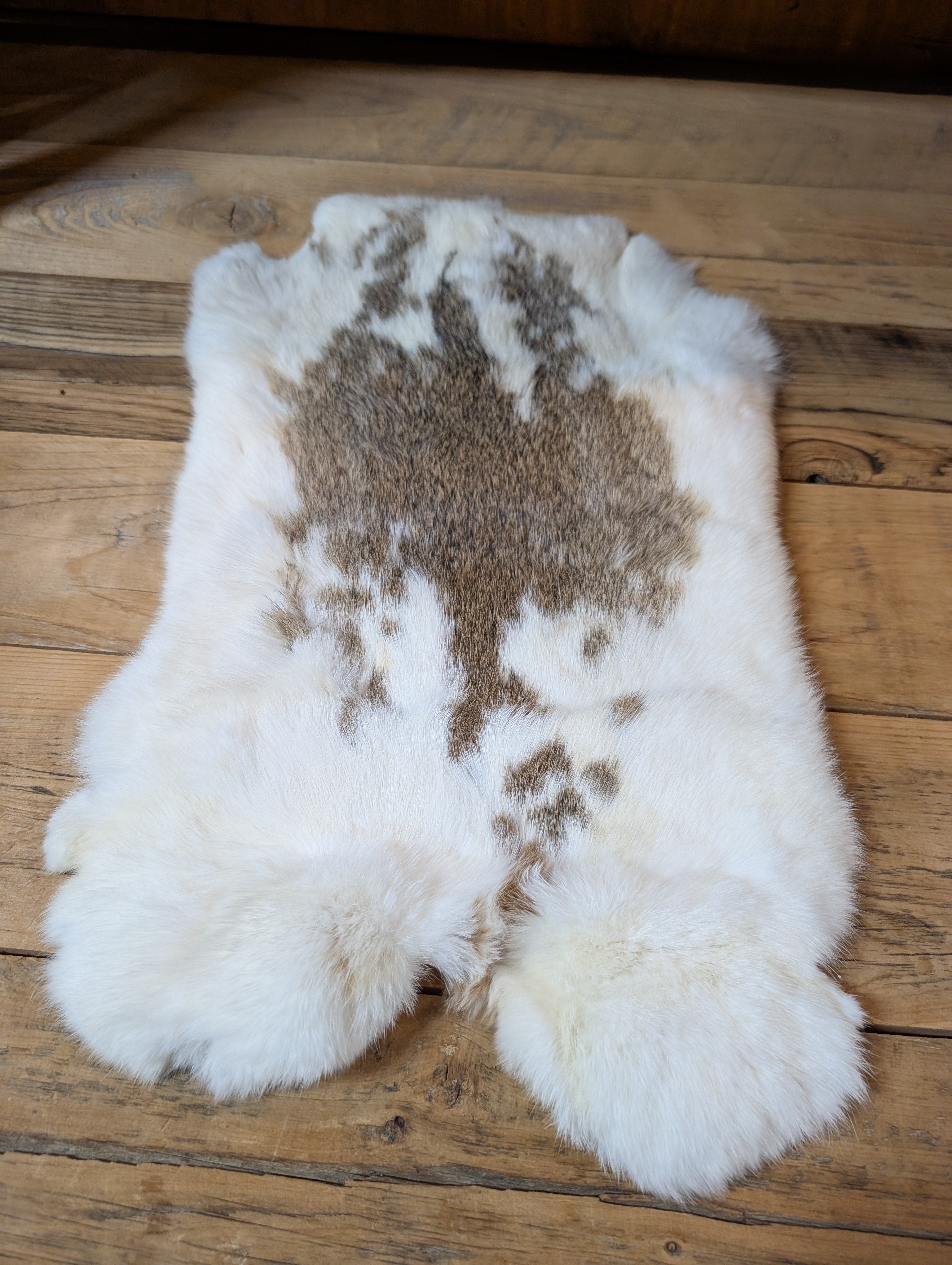Rabbit Pelt Brown & White