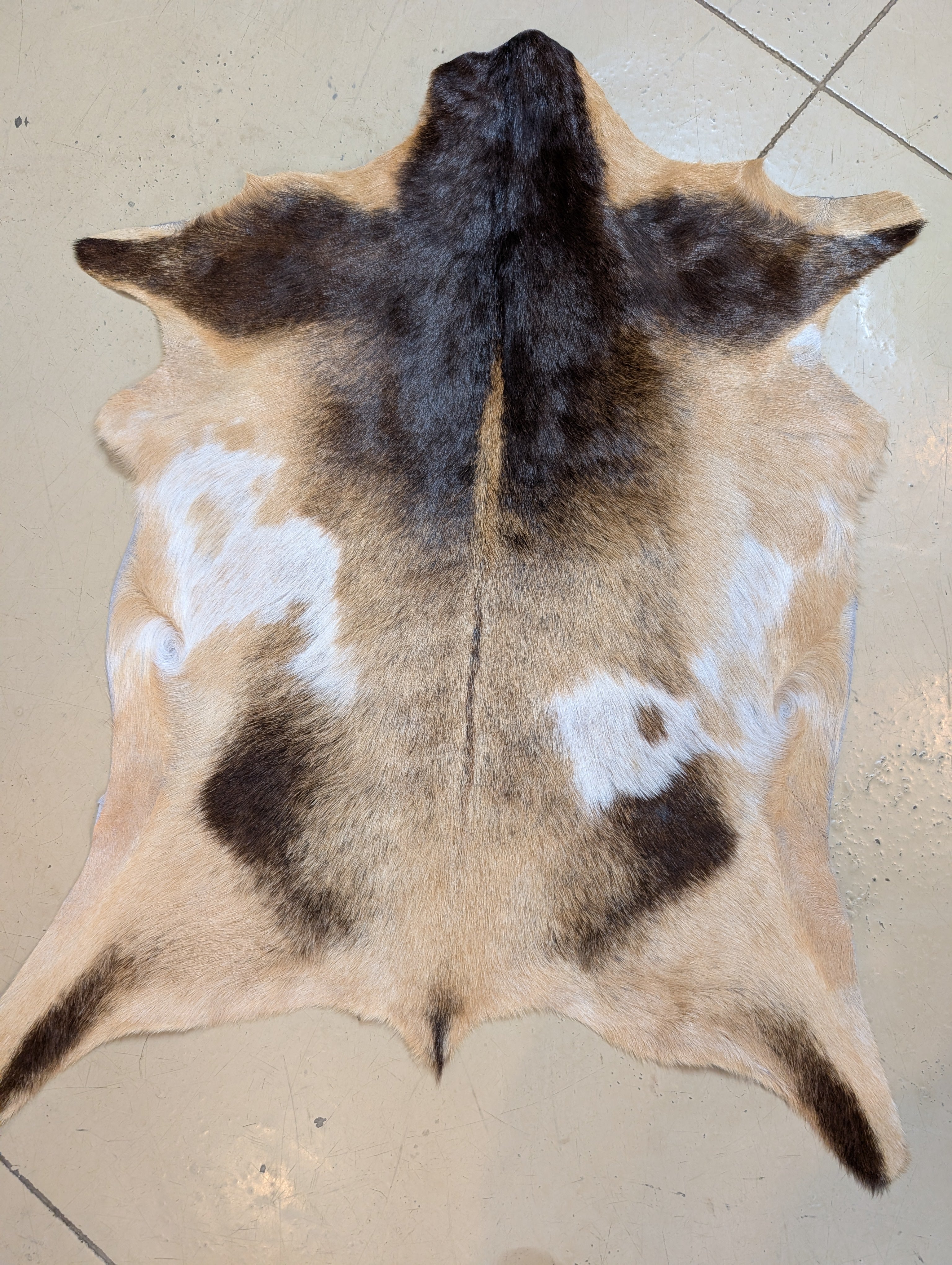 Genuine Goat Hide "Tommy"
