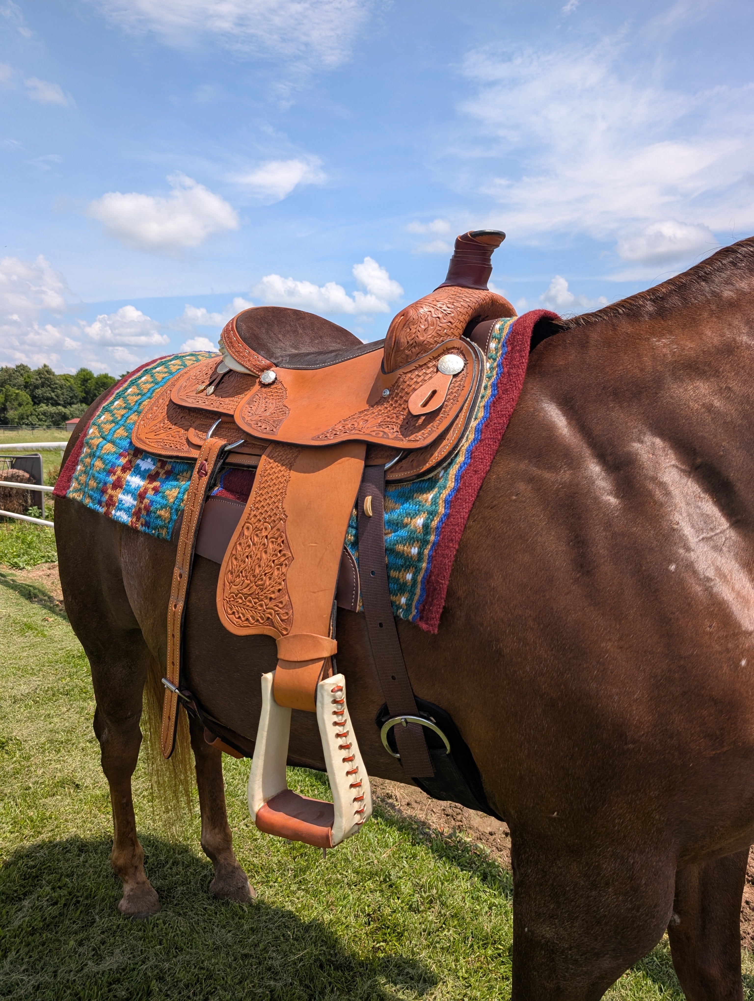 New 16” American Roping Saddle