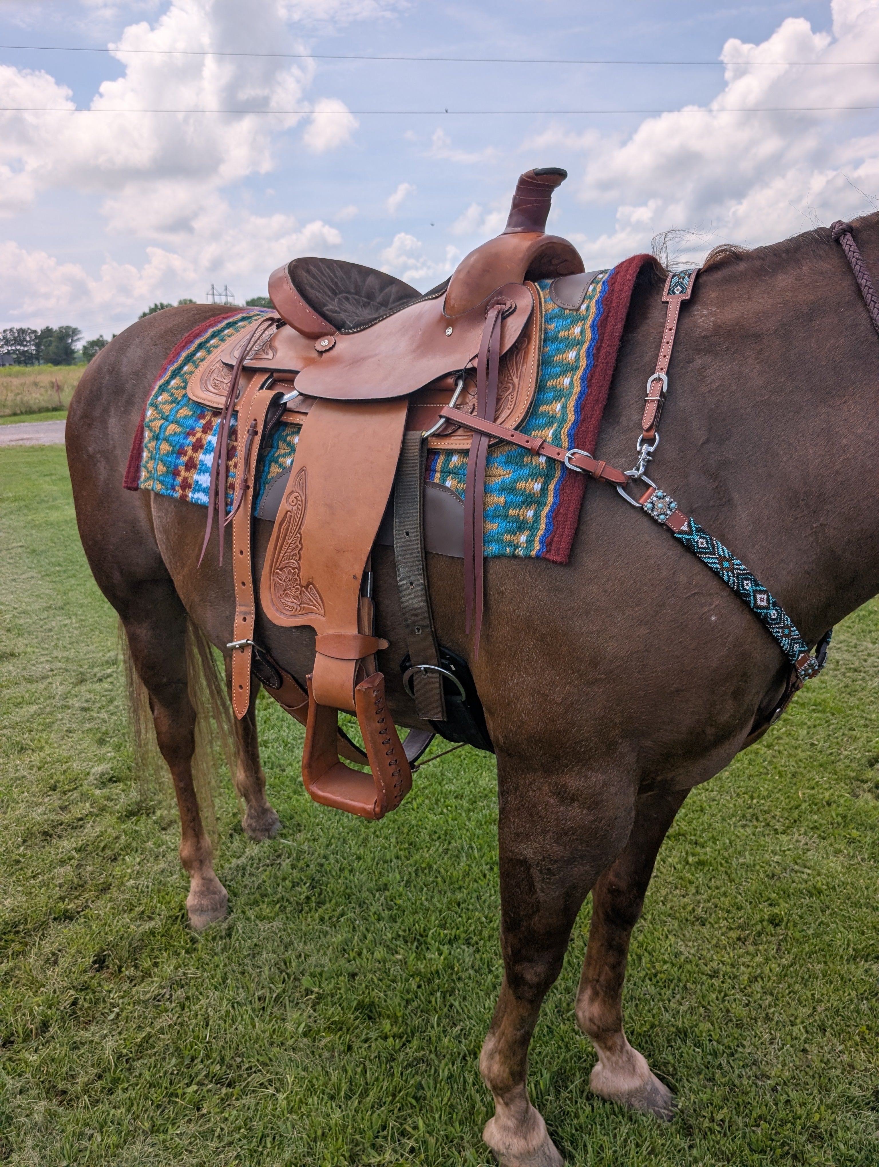 Western roping saddle by Circle A, 16-inch seat with 6.5-inch gullet, genuine leather build, and durable fenders for working cowboys.
