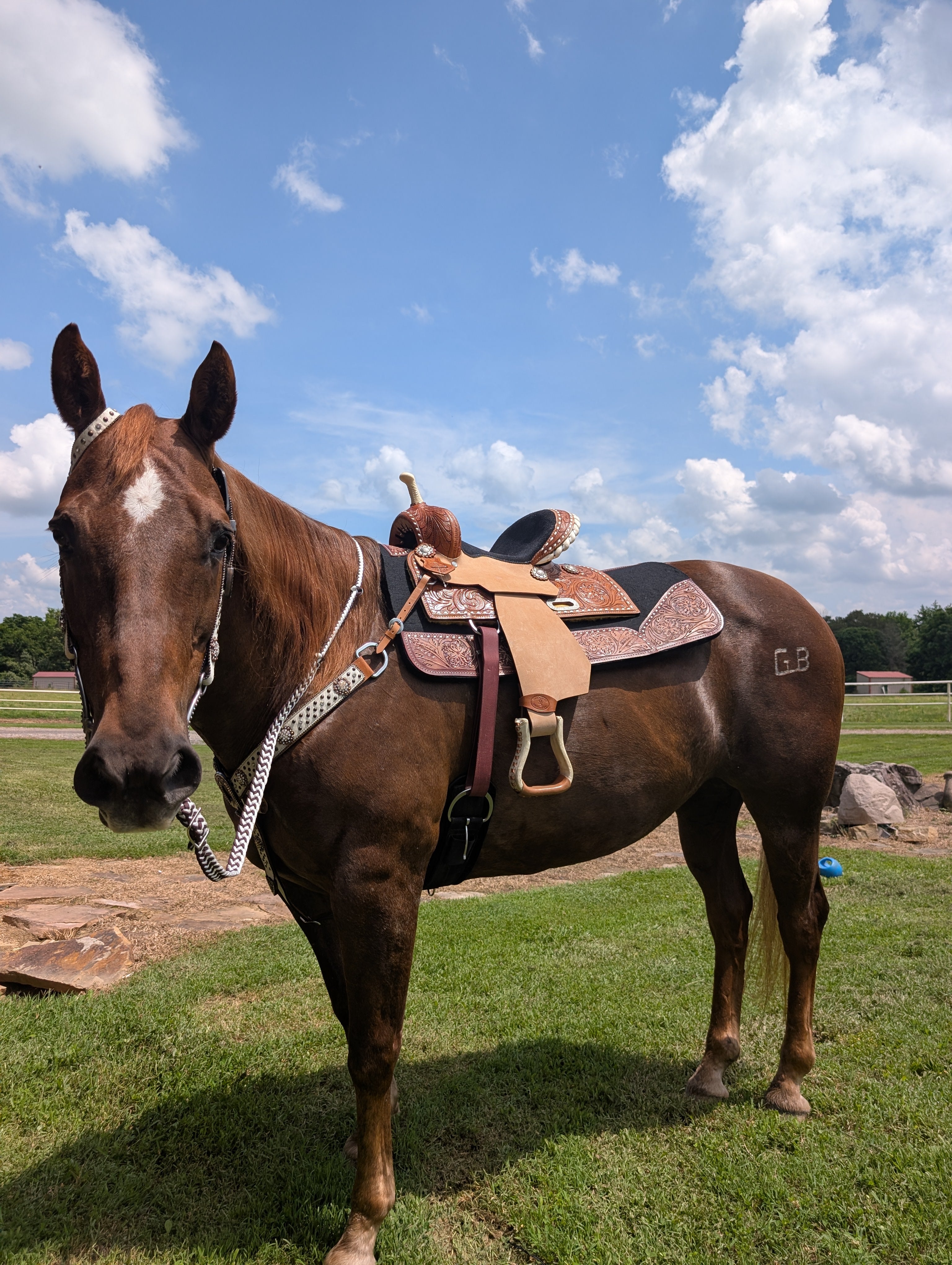 Stockyard Saddlery 12-inch barrel saddle with 7-inch gullet, western high back seat, and buckstitch accents – pad and tack sold separately.