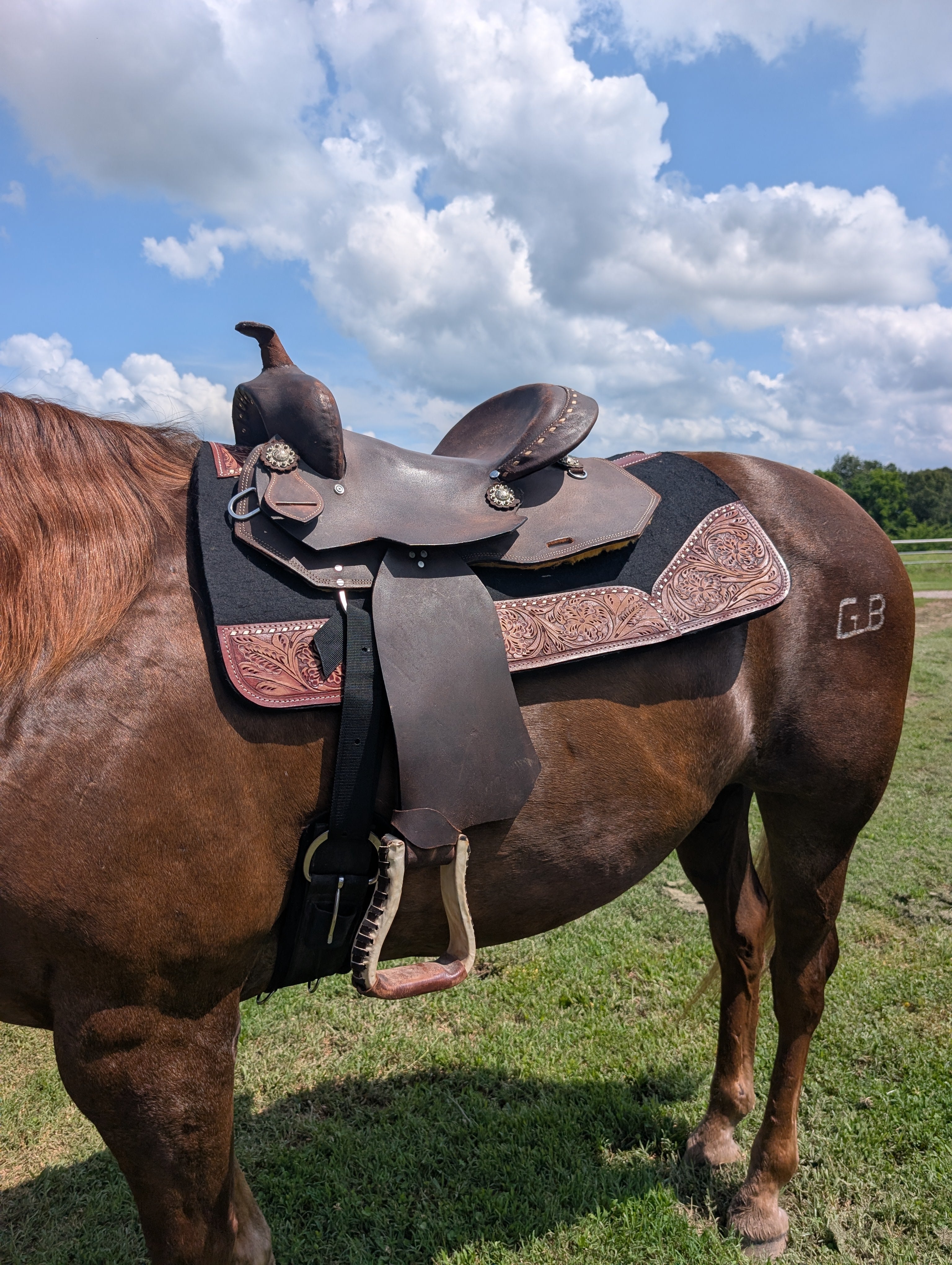 14" Used Western Saddle – Full 7" Gullet, Final Clearance
