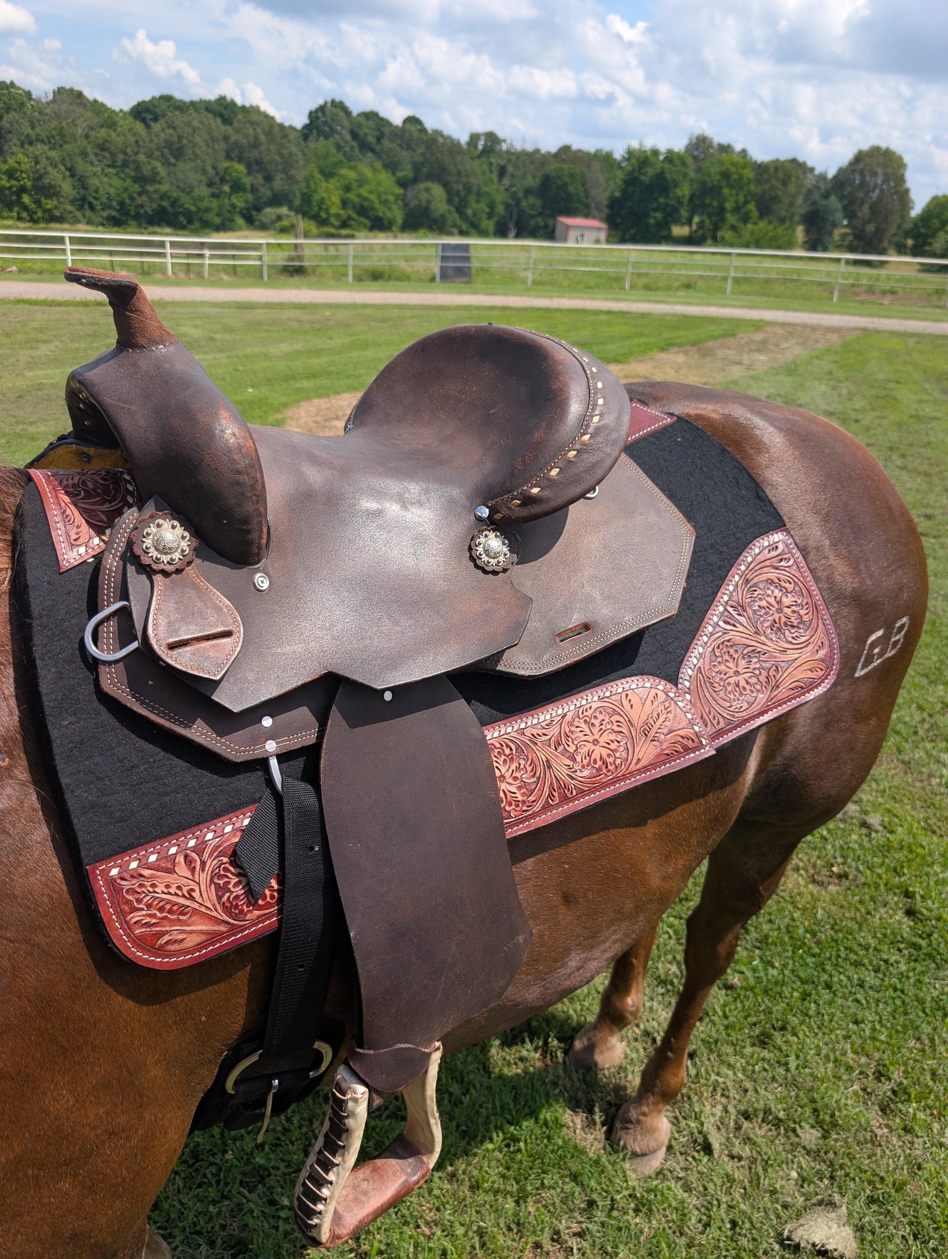 14" Used Western Saddle – Full 7" Gullet, Final Clearance