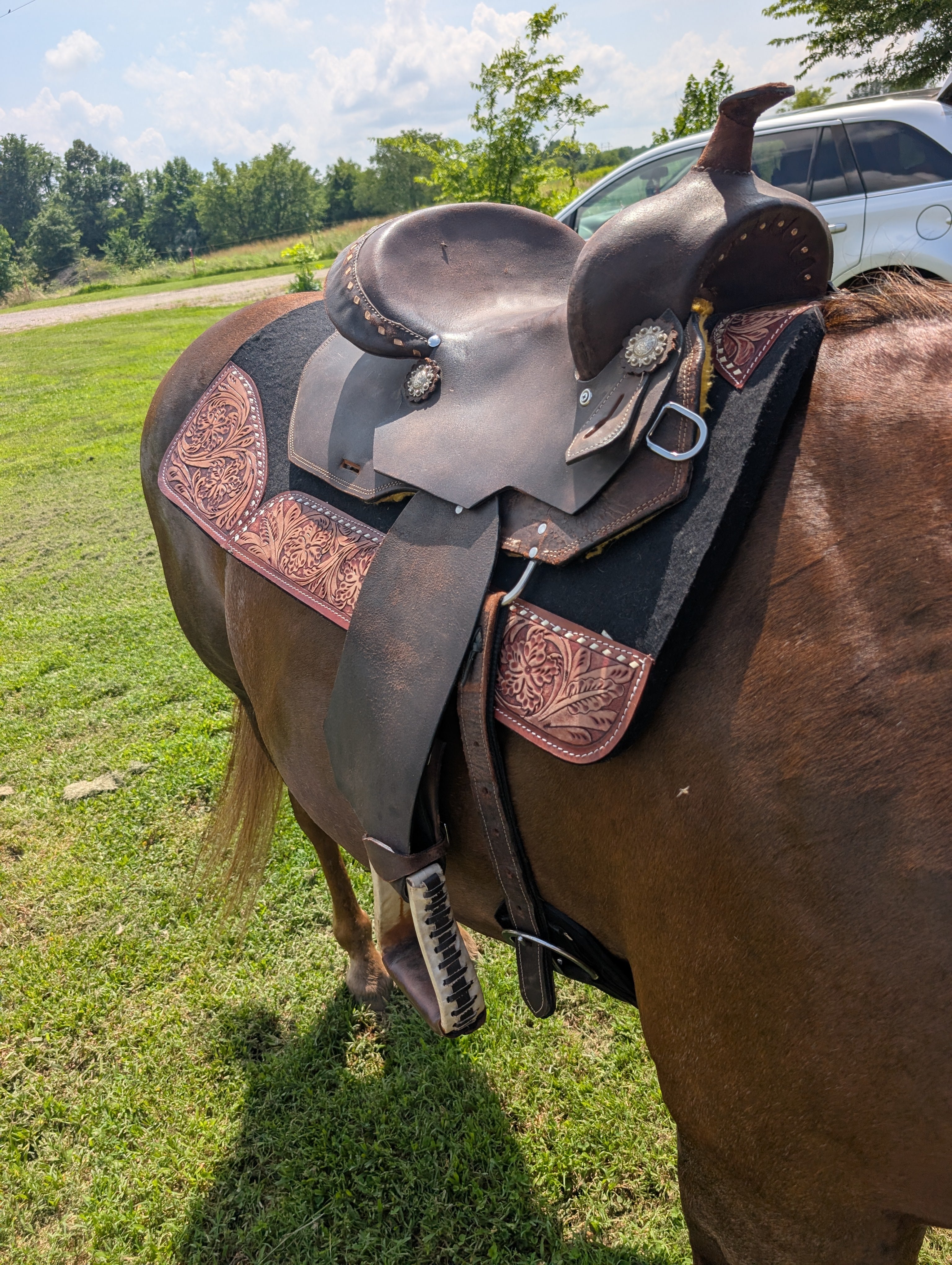 14" Used Western Saddle – Full 7" Gullet, Final Clearance