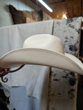 Beige cowboy hat held up against a blurred indoor background
