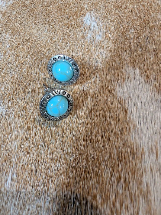 Pair of earrings with turquoise stones on a brown fur background