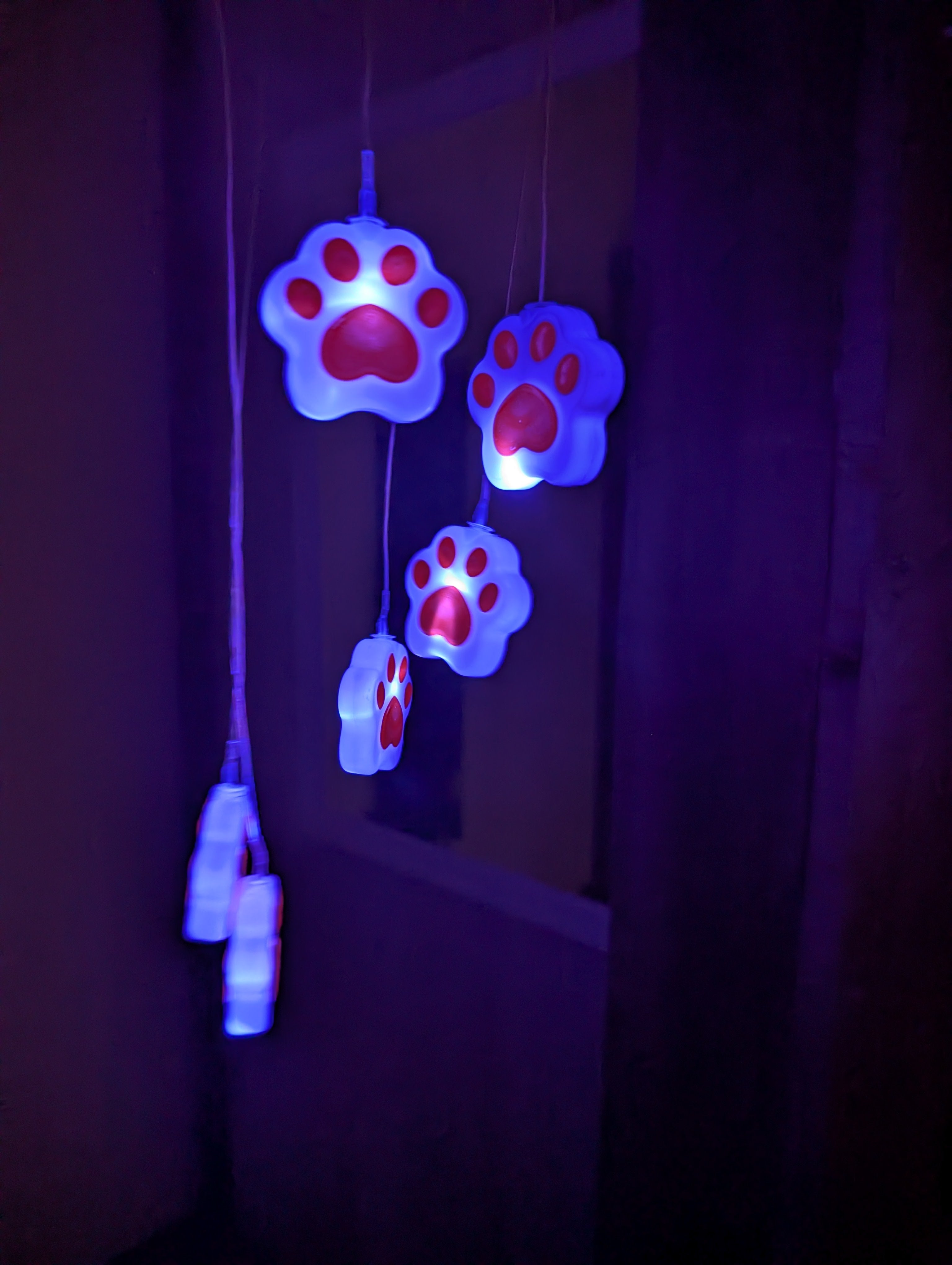 LED paw lights hanging against a dark background