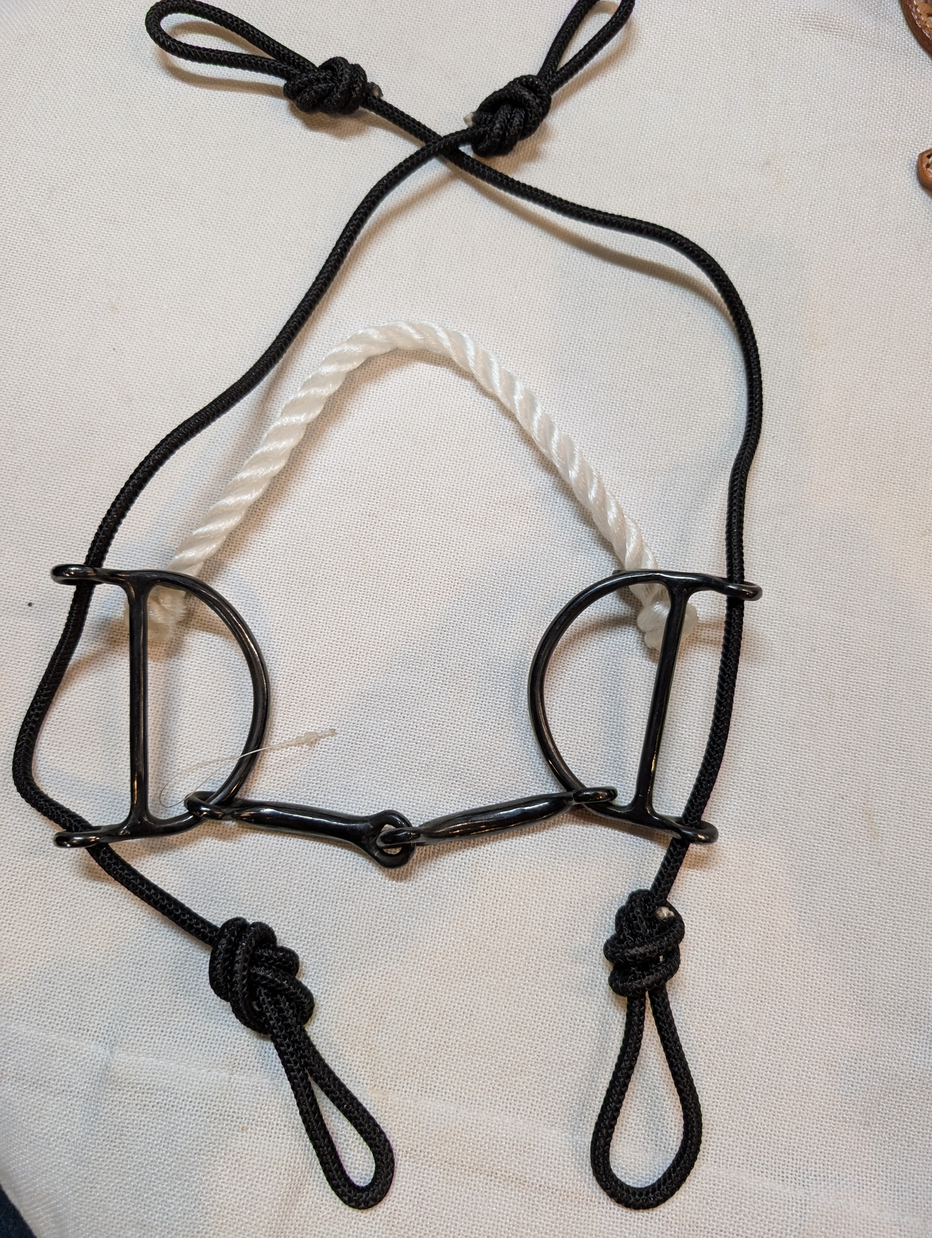 Black horse bridle with a white rope on a light background