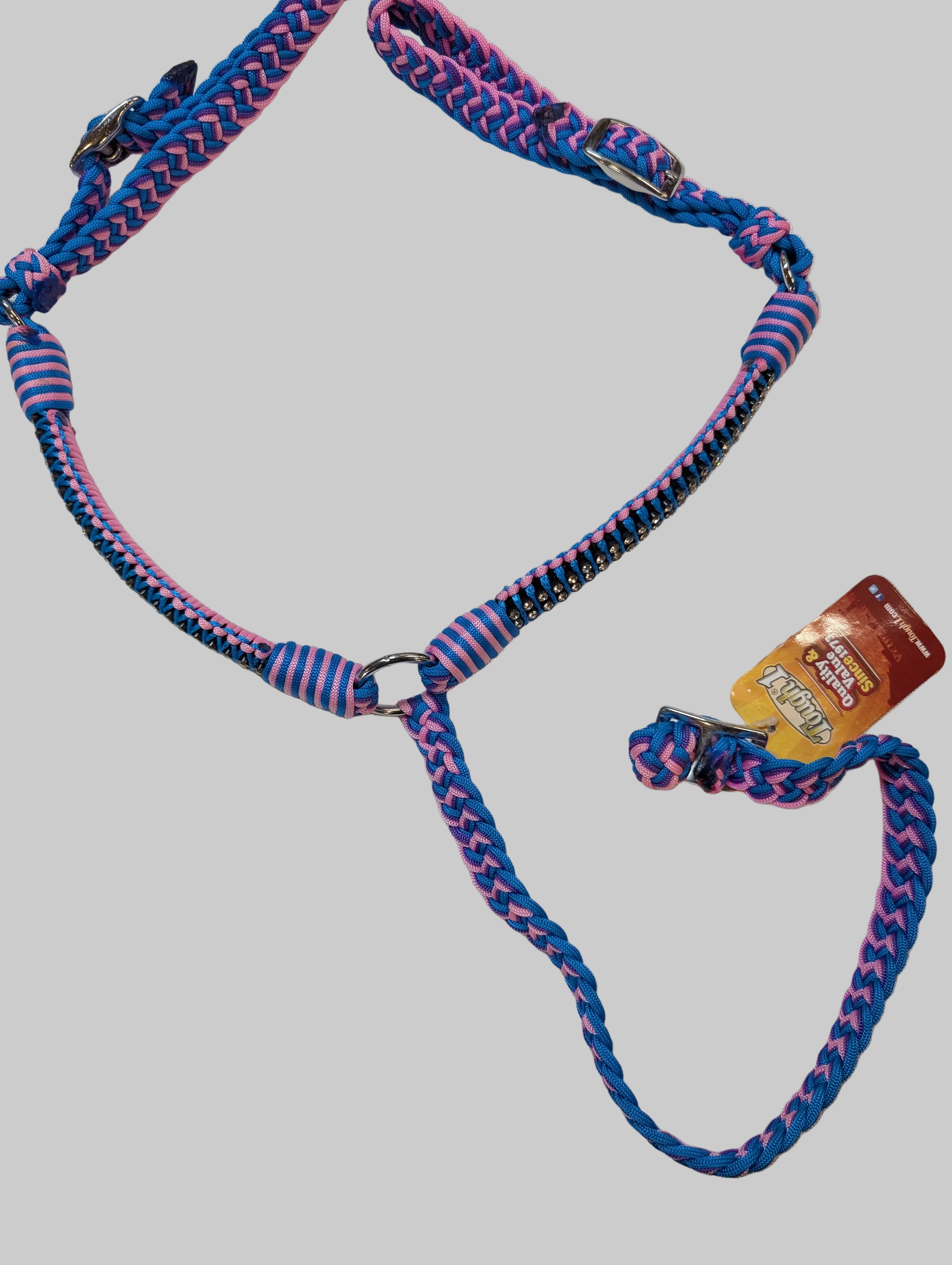 Blue and pink braided dog leash on a white background