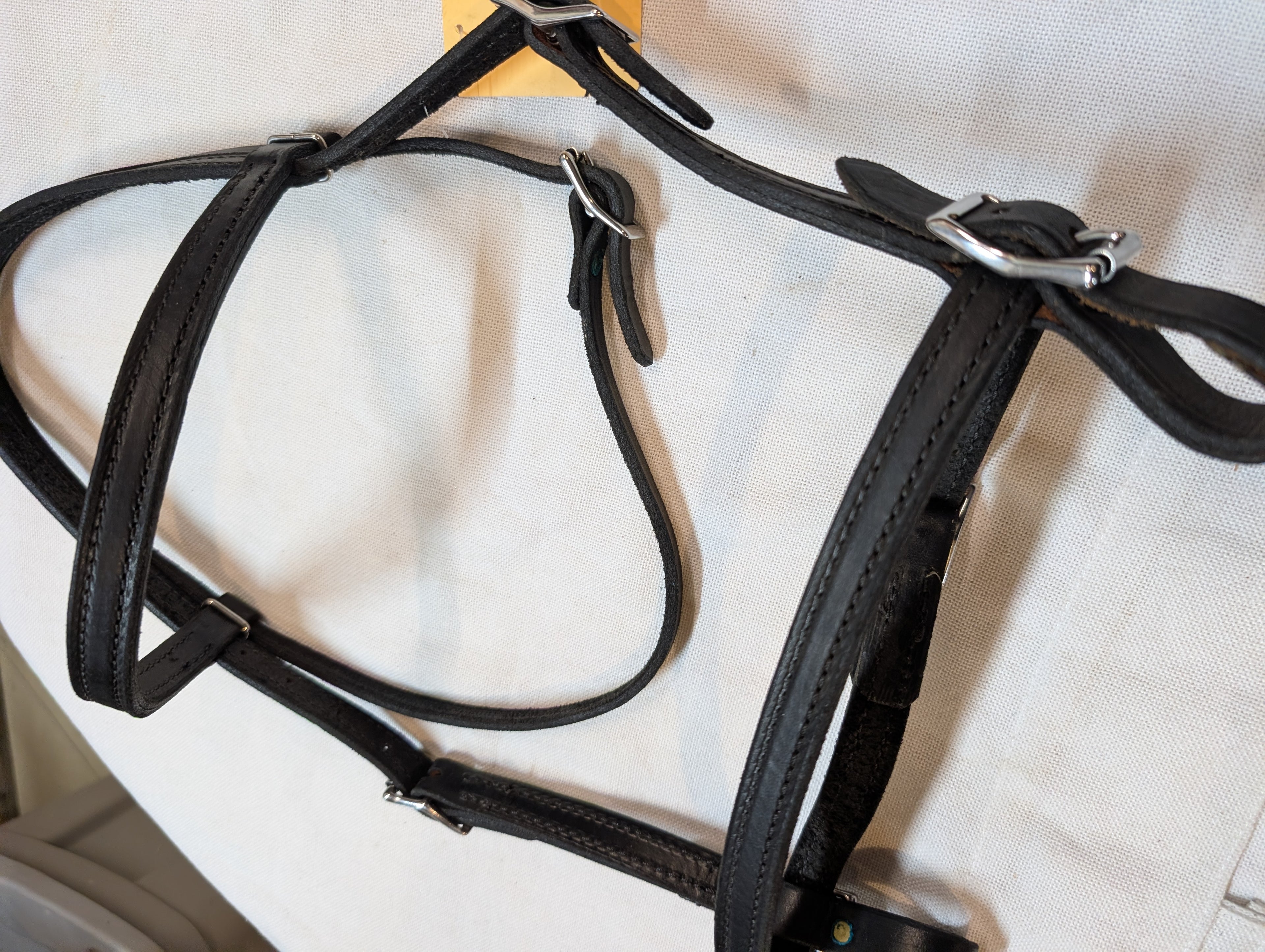 Black leather bridle on a white background